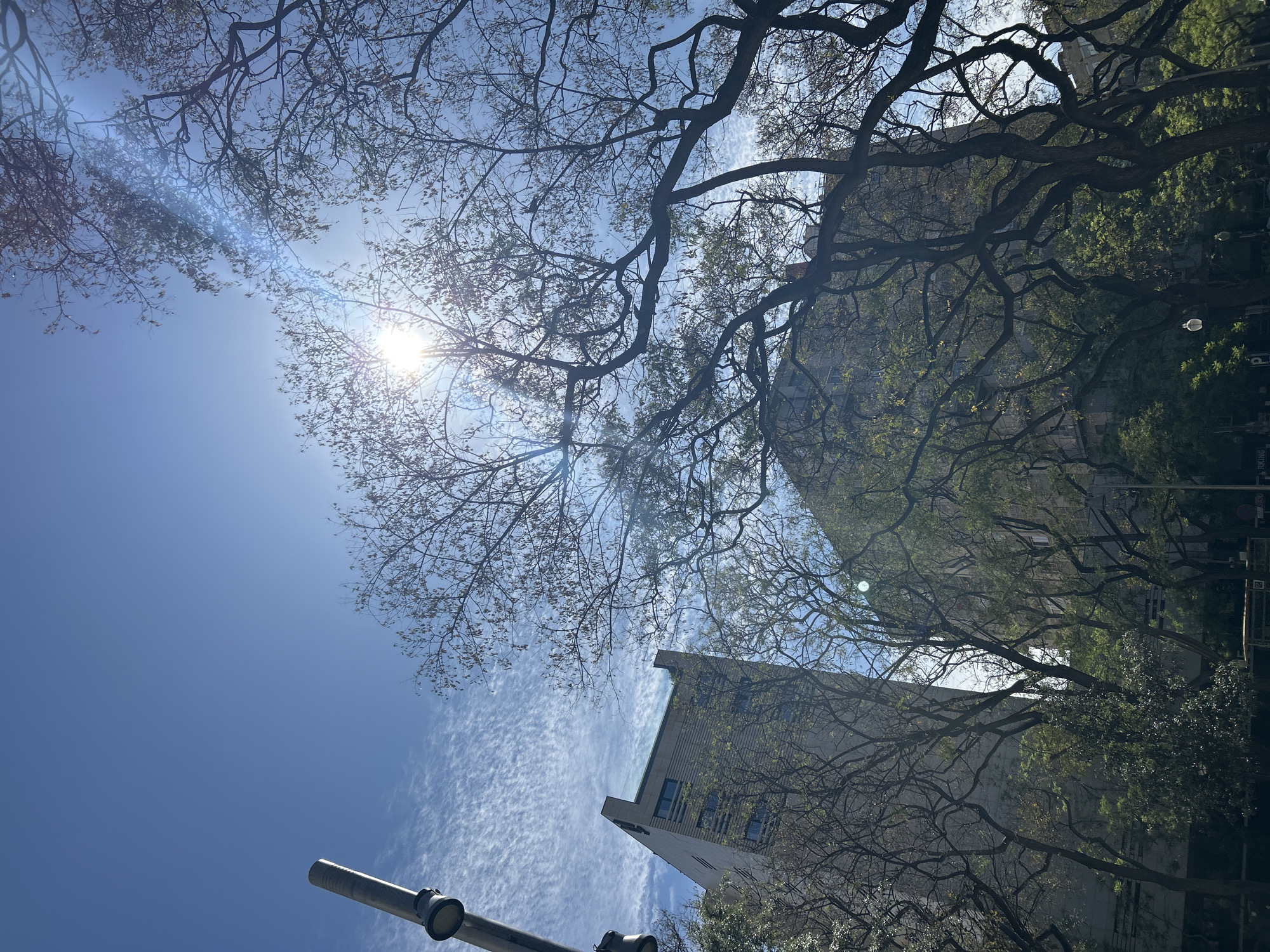 This media file captures an upward-looking perspective of an urban scene in Barcelona, Spain, on a bright, sunny day. The dominant feature is a clear, vibrant blue sky, partially adorned with delicate, wispy white clouds, particularly noticeable in the lower central and left portions of the frame. A brilliant sun, located in the upper left, casts a strong lens flare and distinct sun rays across the sky, indicating a bright daytime setting.
Numerous tree branches, both bare and sparsely covered with nascent green leaves, intricately crisscross the sky, silhouetted against the light. These branches appear to belong to mature trees, forming a natural canopy over the scene. Through and beyond the foliage, at least two buildings are visible. A prominent, light-colored building with dark, rectangular windows stands towards the center-right, its structure appearing angled due to the upward and slightly rotated shot. Further back and to the right, another darker building is partially obscured by denser tree cover.
In the lower left corner, a dark gray cylindrical pole, possibly a streetlight or utility pole, with two distinct light fixtures, extends upwards into the frame. The image has a dynamic feel due to its unique angle and the interplay of natural elements (sky, sun, trees) with urban structures. On the far right, near the bottom, a blue sign with a white 'P' (indicating parking) is faintly visible, with unidentifiable text below it. The overall impression is one of a clear and pleasant day in an urban environment.