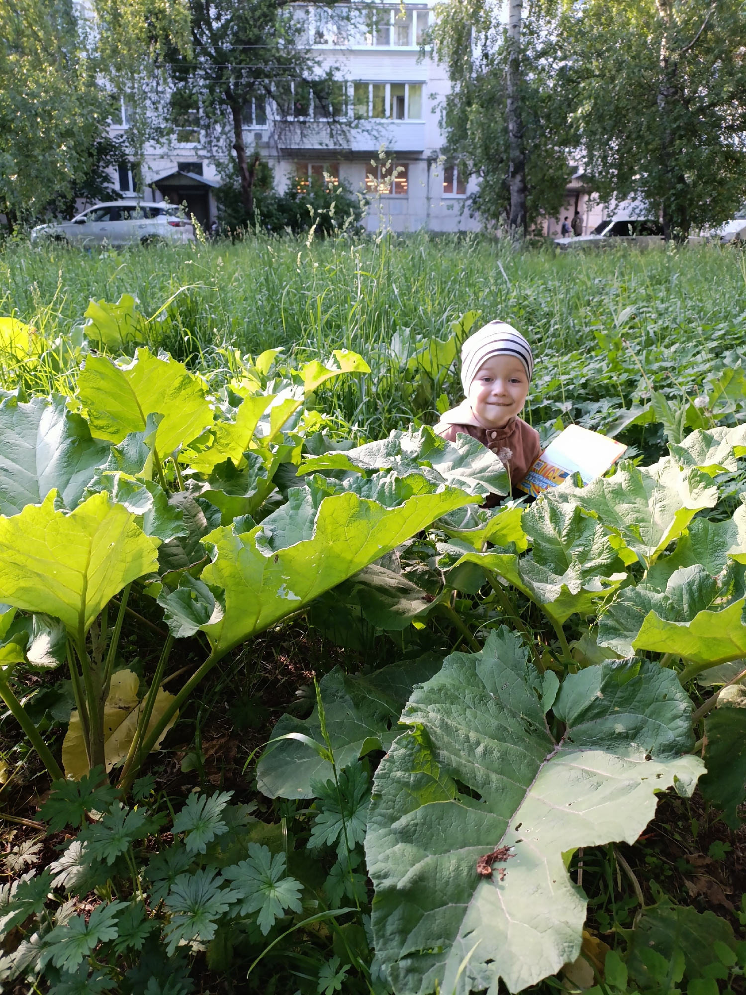 A young child is seated amongst abundant, large green leaves, likely burdock, in an overgrown grassy area during a sunny day. The child, appearing to be a toddler or preschooler, wears a white and dark-striped beanie and a brown long-sleeved top. They are smiling warmly at the camera and holding an open book with a colorful cover, possibly a primer, as hints of Cyrillic text, including what appears to be part of "БУКВАРЬ" (Bukvar), are visible.
The foreground and midground are dominated by the large, vibrant green leaves, which are brightly illuminated by sunlight, creating strong highlights and shadows that suggest the sun is fairly high, perhaps late morning or afternoon. Smaller, dark green plants with lobed leaves are visible at the very bottom of the frame.
In the background, behind the thick foliage and grass, several tall, leafy deciduous trees stand in front of multi-story apartment buildings. These light-colored residential structures feature numerous windows and balconies. A light-colored car is parked near one of the buildings. The clear light and full foliage indicate warm, fair weather. The scene suggests a playful moment outdoors in a natural, albeit slightly wild, setting within an urban or suburban environment in Chaikovsky, Russia.