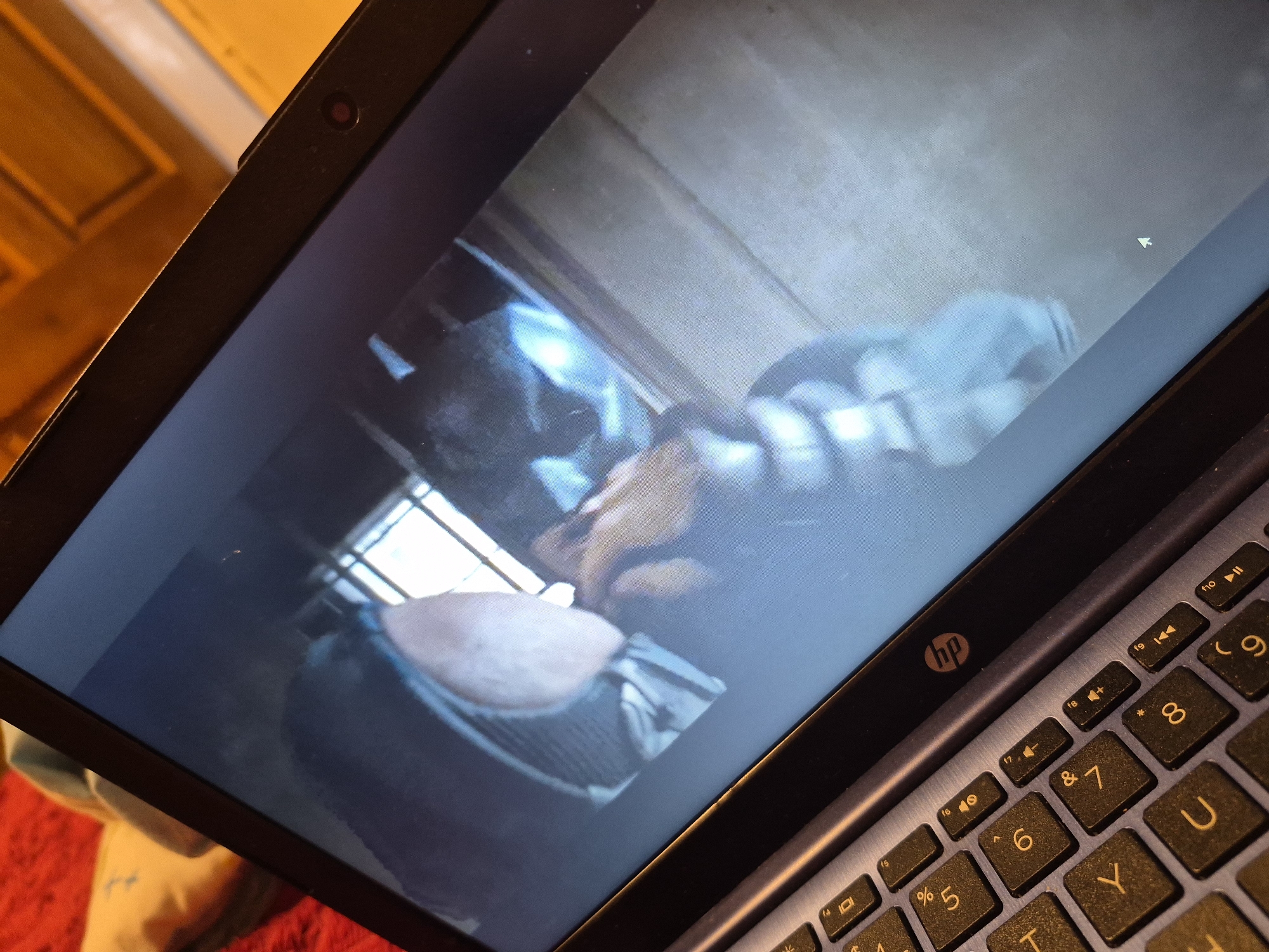 A close-up, angled shot of a laptop screen displaying a video of what appears to be two individuals and a dog. The laptop is open, and the keyboard is partially visible in the foreground. The screen shows a room with wooden accents and windows. One person, wearing a dark top and blue shirt, is holding a dog, which is predominantly tan and white. The other person's face is obscured. The image has a grainy quality. There is no information about the location in Sandwell, United Kingdom.