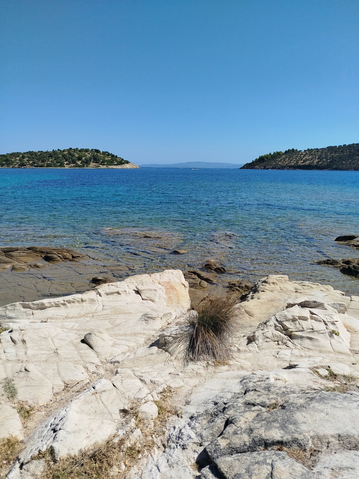 A wide-angle, eye-level view shows a rocky shoreline in Sithonia Municipal Unit, Greece, on a clear, sunny day. The foreground is dominated by large, pale, weathered rocks, with some sparse, dry vegetation growing between them. The water in the middle ground is clear and blue, revealing submerged rocks and sand. In the background, two green, hilly islands or peninsulas jut out into the calm, azure sea. The sky above is a vibrant, cloudless blue. A distant object, possibly a boat, is visible on the horizon. The scene depicts a natural, coastal landscape.