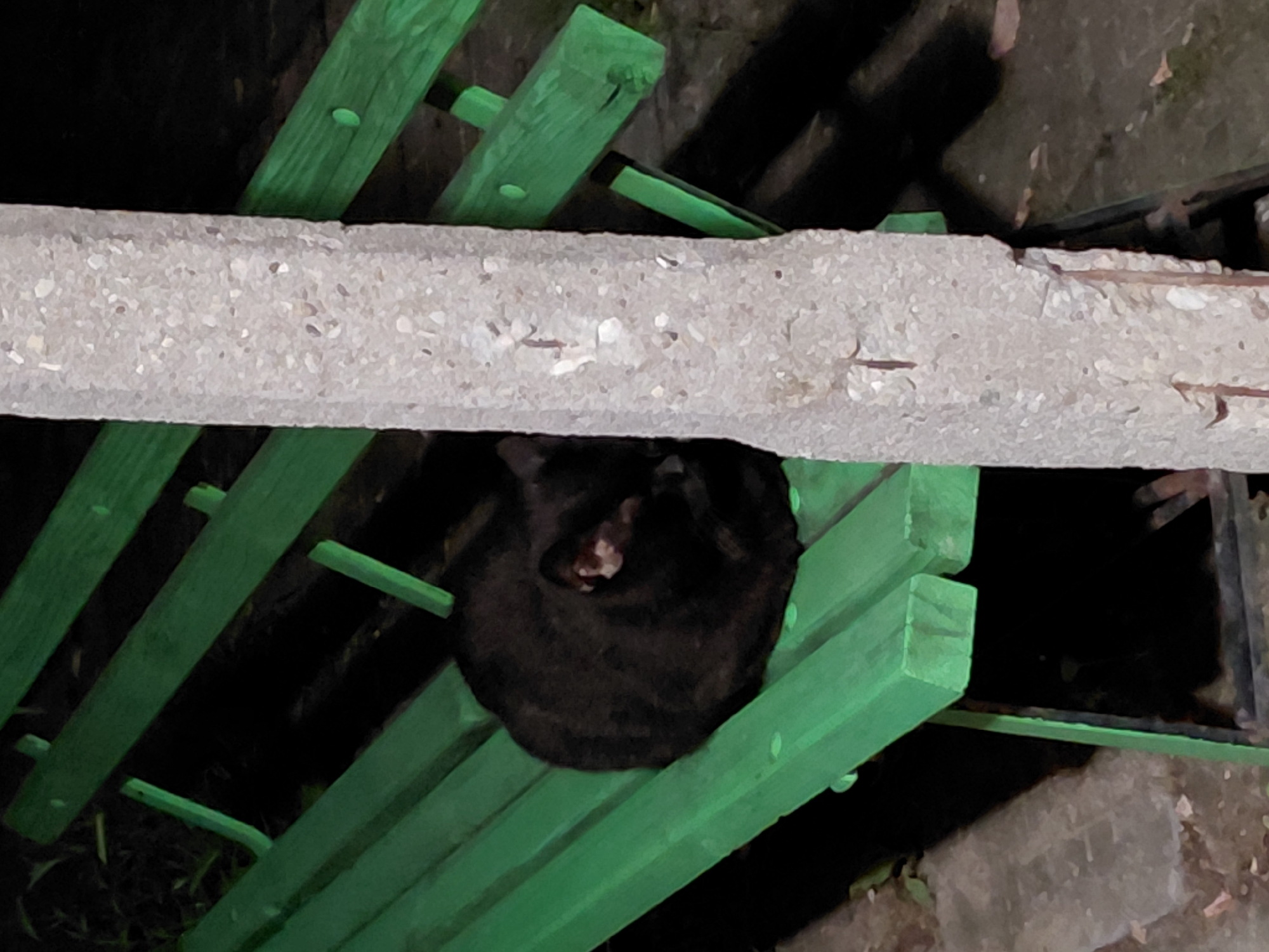 A black cat is curled up asleep on a green wooden bench at night. The bench is positioned outdoors, with a concrete pillar partially obscuring the view on the right side of the frame. The background is dark, suggesting it is nighttime. There are no people present in the image. The scene appears to be in a public outdoor space.