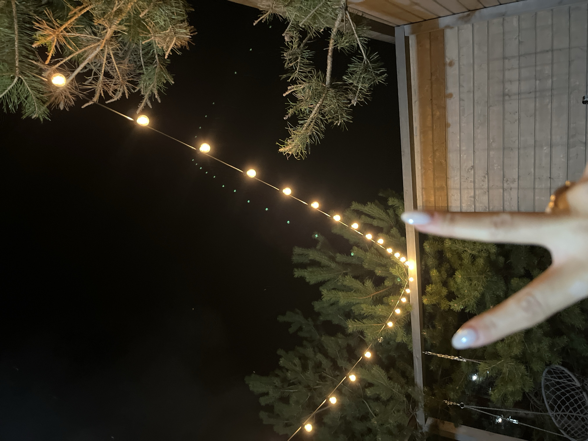 The image shows an outdoor setting at night. String lights are visible, suspended between trees and a wooden structure. The trees are evergreen, with pine needles clearly visible. Part of a hand is in the frame, with pale nails. The wooden structure appears to be part of a building or fence. In the background, a swing chair is visible. The location is Литвиново, Russia.
