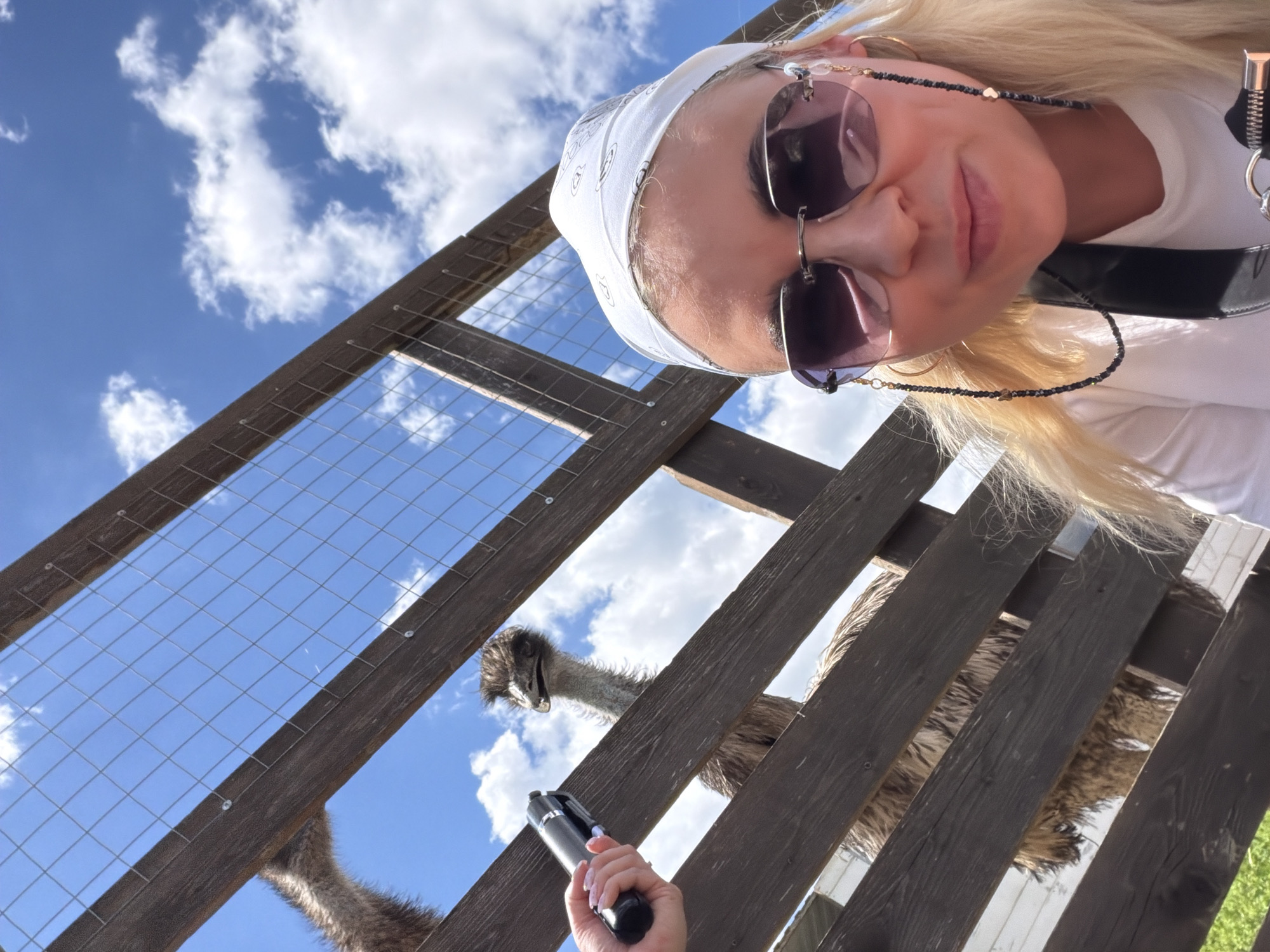 This low-angle selfie, taken in Rassvet, Russia, captures a close-up of a blonde woman interacting with an emu in an outdoor enclosure. The image is tilted, with the woman's face positioned in the upper right quadrant, looking down towards the viewer and the emu. She wears a white bandana with a subtle, unreadable pattern, large dark sunglasses connected by a beaded chain with small heart-shaped accents, and a white top. Her blonde hair flows around her face, and she has a gentle smile.
In the lower center of the frame, her right hand is visible, holding a black monopod or selfie stick, suggesting she is taking the picture herself. A sturdy wooden fence with wire mesh diagonally crosses the frame, acting as a barrier between the woman and the animal. Through an opening in this fence, the head and part of the neck of a large emu are clearly visible in the mid-left portion of the image. The emu has dark, shaggy feathers on its head and appears to be looking upwards.
The background consists of a bright blue sky dotted with scattered white, fluffy clouds, indicating a clear and sunny day. Parts of the emu's brown, feathery body are also discernible through other sections of the wooden fence. The scene depicts a casual, interactive moment at what appears to be an animal park or farm.