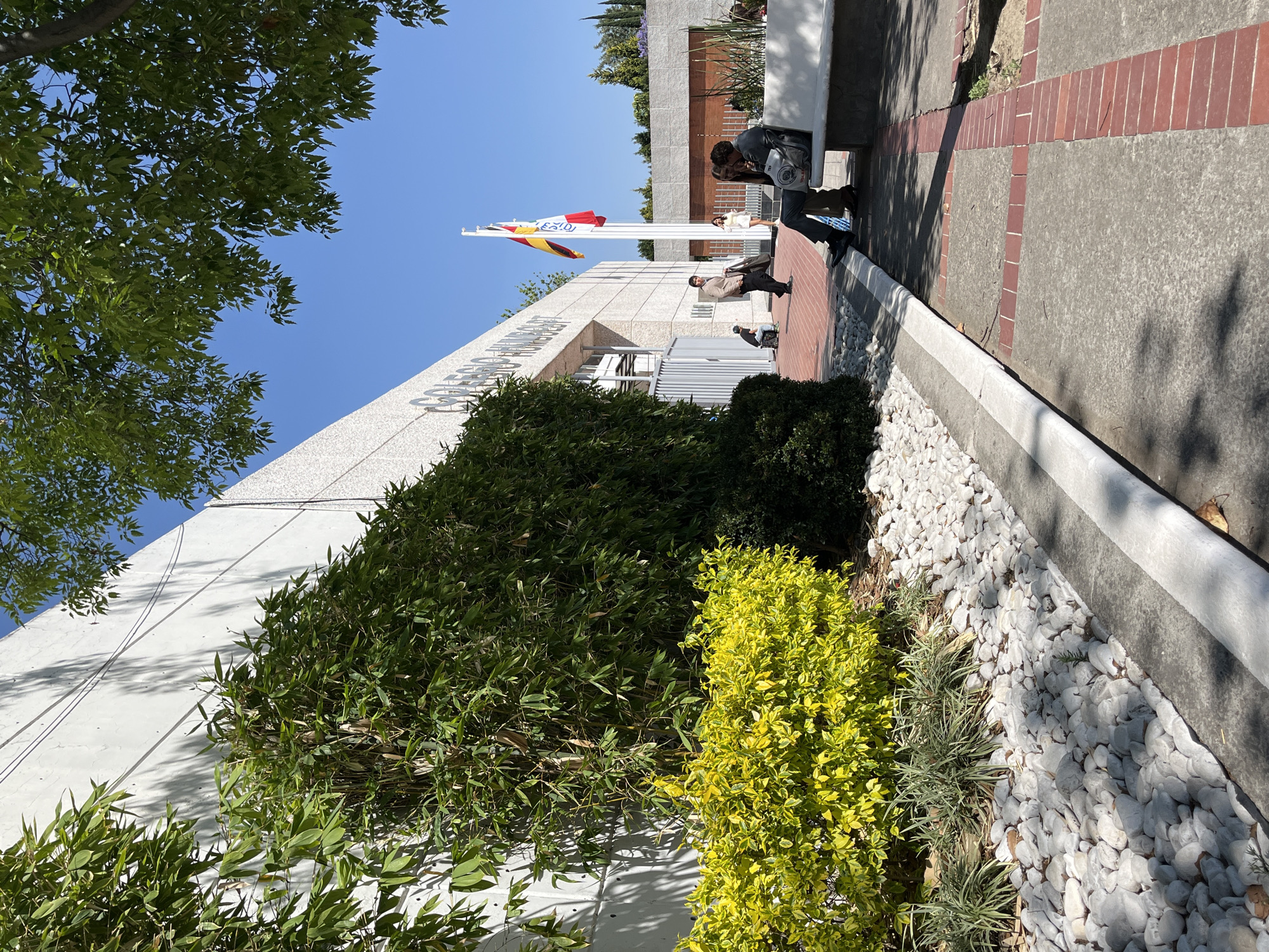 The image captures the exterior of a building, likely a school or college, under a bright, clear blue sky on a sunny day. Prominently displayed on the building's facade is partial text, clearly visible as "COLEGIO ESP...", strongly suggesting "Colegio Español" (Spanish School/College). A Spanish flag, featuring red-yellow-red horizontal stripes and a coat of arms, flies from a flagpole in front of the building, reinforcing its identity as a Spanish institution within Puebla, Mexico.
Several individuals are present outside. Two people, a male and a female, are seen standing on the right, leaning against a white concrete structure, seemingly engaged in conversation. Another male figure stands closer to the flagpole. A fourth person, a female, is visible further in the background. Their activity appears casual, possibly waiting or conversing.
The foreground features diverse landscaping elements. A dense cluster of green, bamboo-like plants grows along the white wall of the building on the left. Adjacent to it is a vibrant yellow-leafed shrub, and groundcover plants. A decorative bed of smooth, white stones borders a concrete sidewalk that has interspersed sections of red brick paving. Strong shadows from trees and the building fall across the ground, indicating bright sunshine. A large tree with full green foliage frames the upper left corner of the image. The overall scene depicts a typical, sunny day outside a Spanish educational or cultural center.
