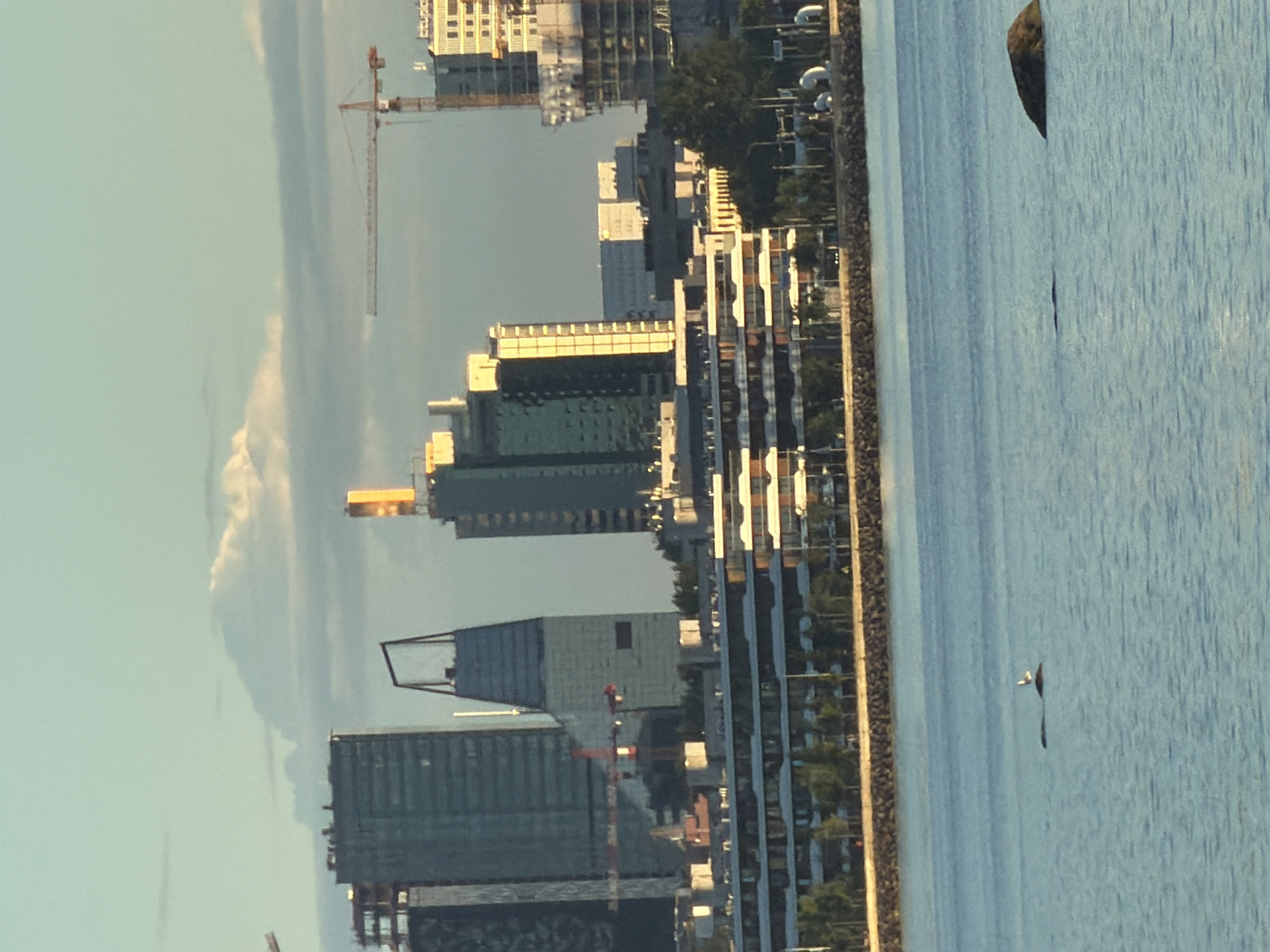 This image captures a waterfront view of the city of Tallinn, Estonia, likely from across a body of water, possibly the Baltic Sea. The foreground features calm, blue water with a large rock to the right and a smaller dark shape with a bird perched on it to the left. In the midground, a long, low-rise building complex with numerous windows and balconies lines the shore, backed by a line of trees. The background is dominated by a cityscape of modern high-rise buildings under construction and some completed structures. Several construction cranes are visible, indicating ongoing development. The sky is a pale blue with scattered, wispy clouds, suggesting it is either early morning or late afternoon, with warm, soft light illuminating the scene.