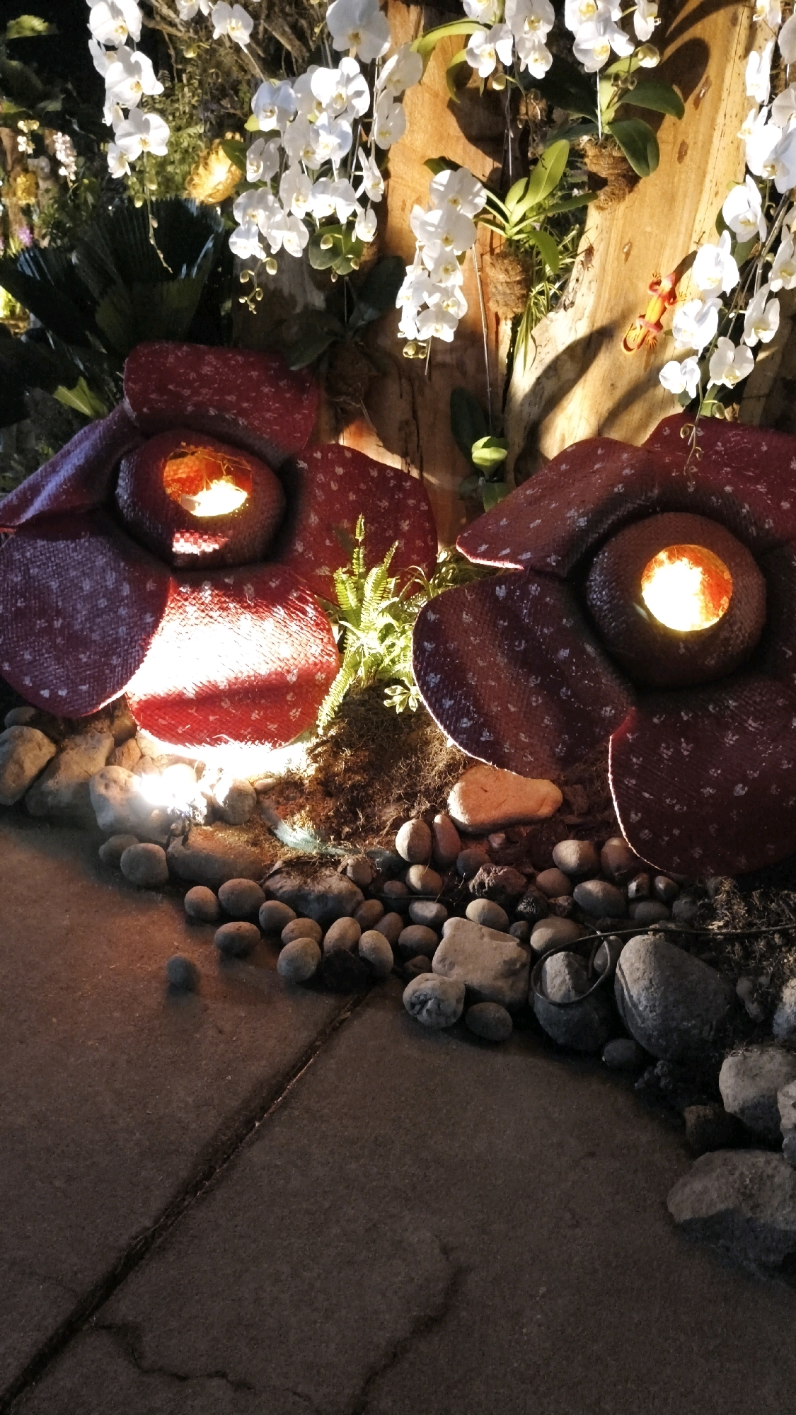 This is a photograph of two artificial Rafflesia flowers, likely part of an exhibition or display, placed on the ground amidst rocks and foliage. The flowers are a deep red with lighter speckles and have a glowing center, suggesting they are illuminated from within. White orchids are visible hanging from a wooden structure in the background, adding to the decorative nature of the scene. A small, orange lizard figurine is also present on the wooden structure. The ground in the foreground appears to be paved with textured concrete. The scene is dimly lit, with spotlights highlighting the flowers. The photograph does not depict any people or indicate a specific location in Central Jakarta, Indonesia.