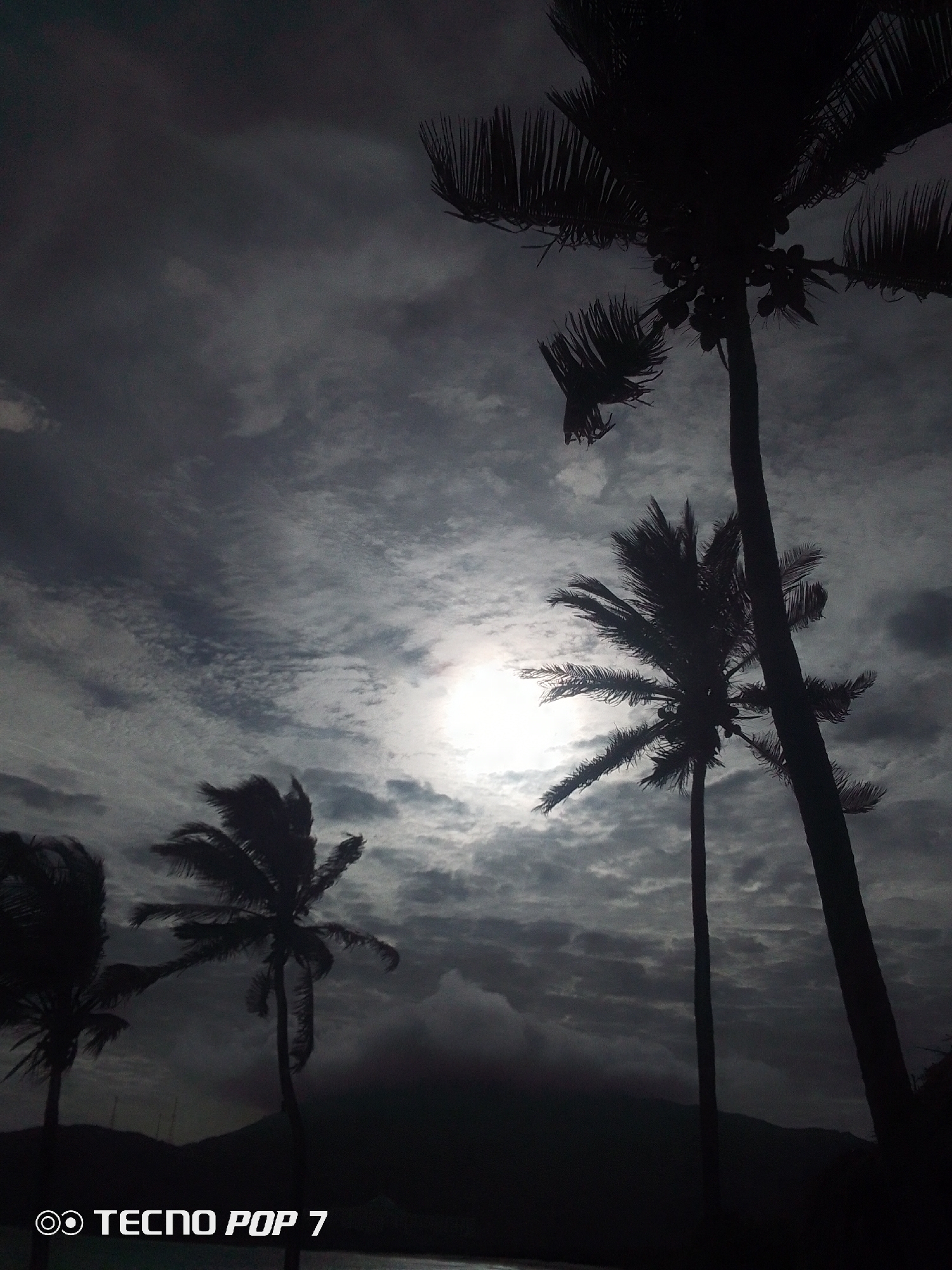 The image shows a nighttime scene at Pedro González, Venezuela, with a cloudy sky and silhouetted palm trees. The sun or moon is obscured by clouds, creating a bright spot in the center of the frame. There are four visible palm trees in various sizes, silhouetted against the sky. A land mass or mountain range is visible in the lower part of the frame. The water is visible in the very lower part of the image. "TECNO POP 7" watermark is in the lower left corner.