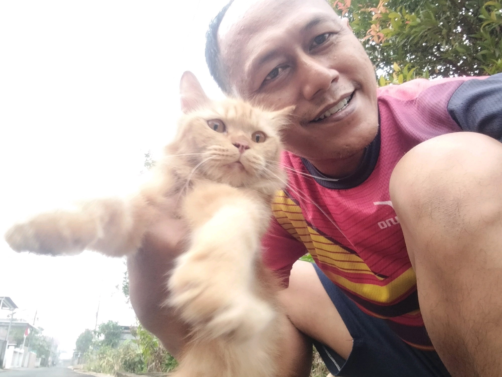 This is a selfie taken outdoors in Arang Limbung, Indonesia, featuring a man and a ginger cat. The man, who is bald and smiling, is holding the cat in his left arm. The cat, with fluffy orange fur and amber eyes, is looking directly at the camera. The man is wearing a red and yellow striped t-shirt and dark blue shorts. In the background, there is a street with buildings and vegetation. The sky is bright and overcast. The overall scene suggests a casual and friendly interaction between the man and his pet.