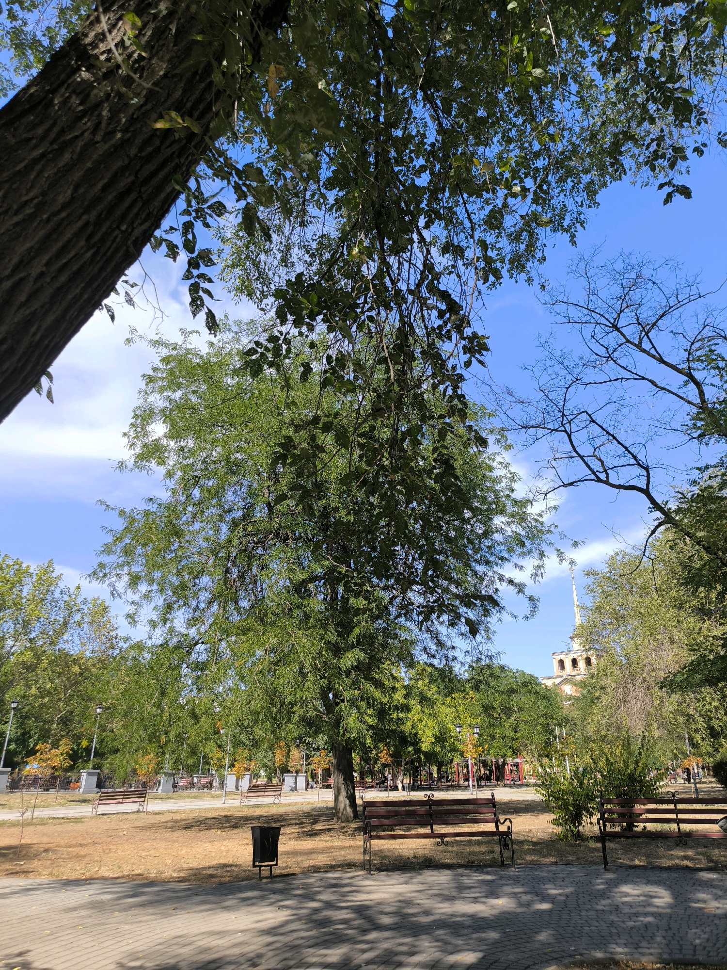 The image depicts a park scene with lush green trees and a clear blue sky with scattered clouds. In the foreground, a paved pathway with dappled sunlight and shadows leads into the park. Several park benches are visible, some occupied by people. A trash bin stands near one of the benches. In the background, a multi-story building with a spire can be seen, peeking through the trees. The park appears to be well-maintained with green grass, fallen leaves on the ground, and lampposts lining the pathways. The overall atmosphere is serene and inviting, suggesting a pleasant day for outdoor recreation. This scene is consistent with a public park within a city, likely offering a space for relaxation and community gathering.