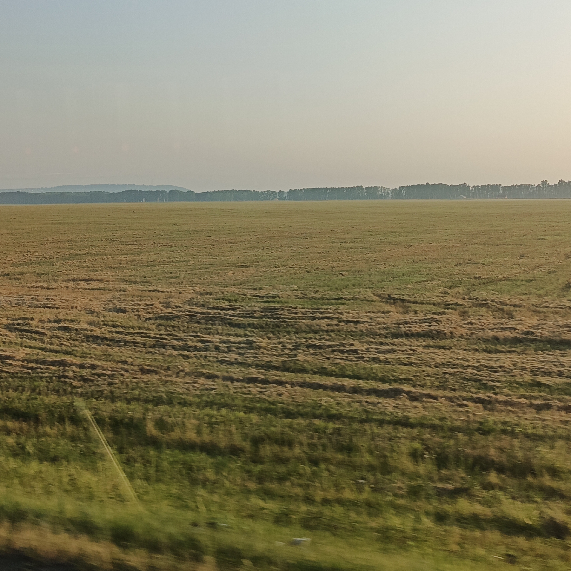 The image depicts a vast agricultural field under a hazy sky. The field is predominantly covered in dry, matted grass, arranged in rows, suggesting it has recently been harvested or prepared for planting. In the distance, a dense line of trees forms a natural horizon, beyond which a faint, undulating landscape is visible, possibly hills. The sky is a pale, washed-out blue, with a slight gradient towards a lighter hue at the top, indicating either early morning or late afternoon light, or atmospheric haze. The foreground is blurred, suggesting motion, likely from a moving vehicle, with patches of green grass visible at the very bottom of the frame. There are no people or specific man-made structures clearly identifiable in the main body of the field, though faint structures may be present within the tree line in the distance. The scene is rural and expansive, characteristic of agricultural landscapes. There is no indication of the city of Taraberdino, Russia in the image.