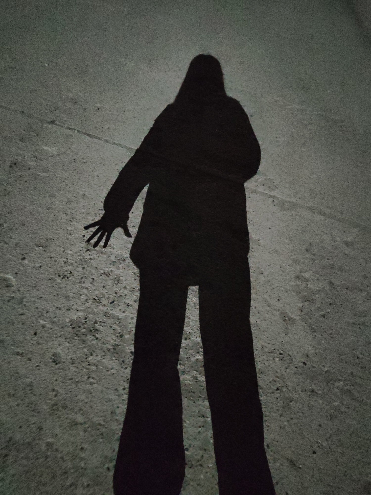 A black silhouette of a person is cast onto a gray surface. The person appears to be wearing a jacket and pants. Their right hand is extended with fingers spread. The location appears to be an outdoor, paved area.
