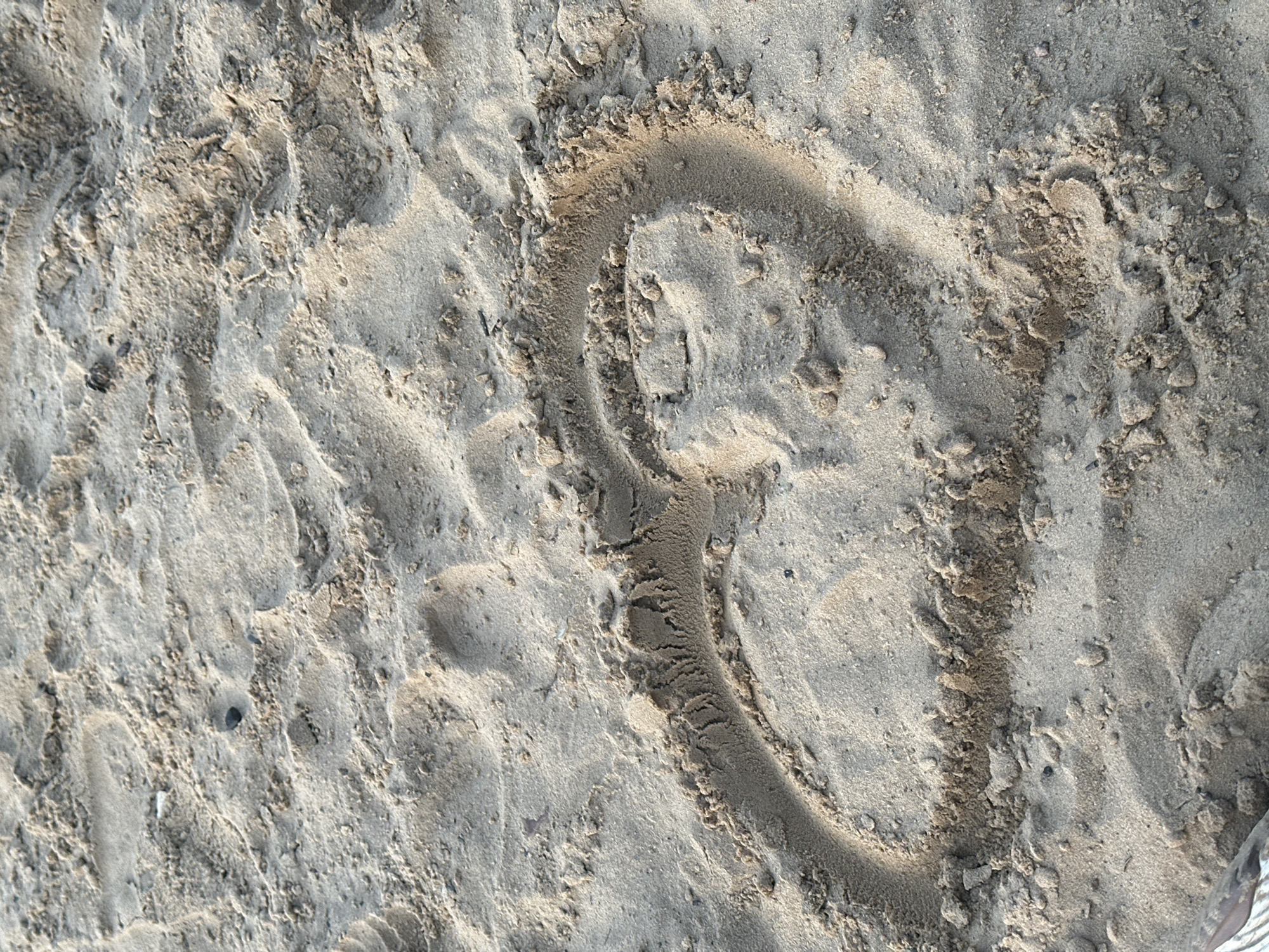An overhead, medium shot captures a heart shape drawn in the sand on a beach. The sand is coarse and light brown, with small pebbles and shells scattered throughout. The heart is incomplete, with a clear opening on the left side. The drawing is made with a finger or a stick, leaving a visible imprint in the sand. The lighting suggests it is daytime, with soft shadows cast by the uneven texture of the sand. The image provides no information about the city of Lytkarino, Russia.