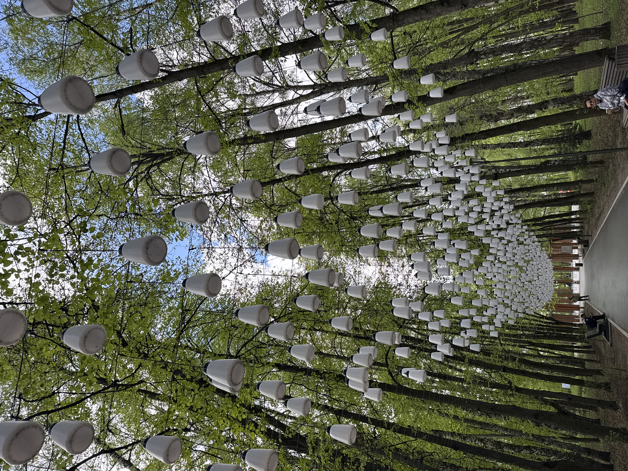Here's a detailed description of the image:
The image depicts a tree-lined walkway in Nizhny Novgorod, Russia, characterized by an installation of numerous white, cup-shaped light fixtures suspended overhead among the trees. The tree trunks are mostly straight and tall, with green foliage visible. The light fixtures are suspended by wires, creating a canopy-like effect. A paved walkway runs between the rows of trees. On the right side of the path, there is a wooden bench occupied by two people. The sky is visible through gaps in the tree canopy, showing patches of blue and some white clouds. The scene appears to be in a park or garden setting.