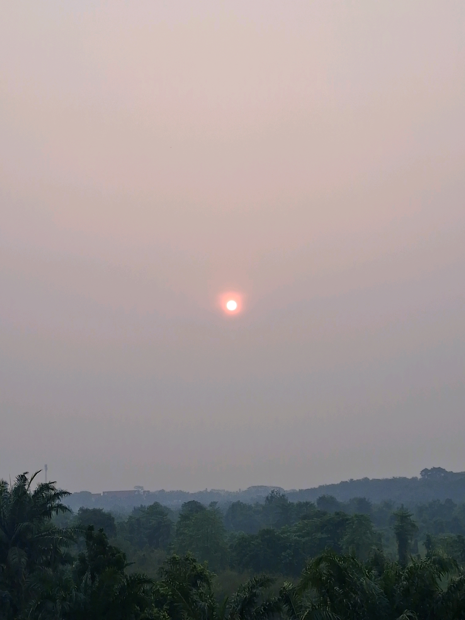 This is a photograph of a hazy sunrise over a dense forest on the outskirts of Pangkalan Kerinci, Indonesia. The sun appears as a small, orange orb partially obscured by atmospheric haze. Below the sky, the landscape is dominated by lush green trees, with some palm trees in the foreground. In the distance, the outlines of buildings and possibly a communication tower are visible through the haze, suggesting the presence of a settlement. The overall impression is one of a serene, natural environment with distant human presence.