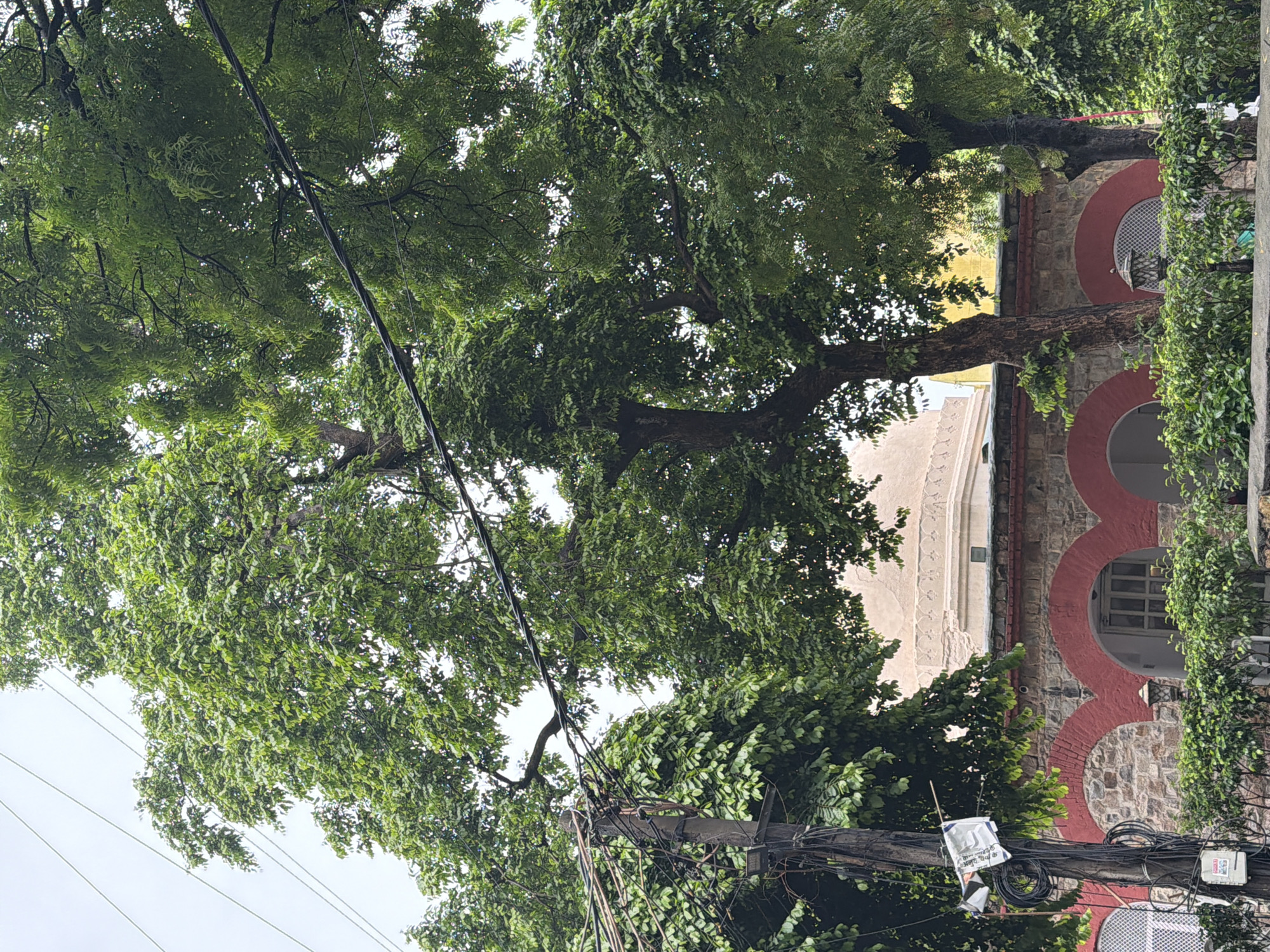 The image depicts a lush green canopy of trees in the foreground, with their branches intertwining with numerous electrical wires and a utility pole. Beneath the trees, a section of a building is visible. This building features a stone facade with arched openings, accented by a vibrant red trim. A prominent dome, light in color, rises above the building's roofline, suggesting it is a significant structure, possibly a religious site or a historical monument. The setting appears to be an urban environment, with the presence of overhead electrical infrastructure being a common sight in many Indian cities. Given the architectural style and the dense foliage, the location could be a heritage site or a well-established neighborhood in Delhi, India, characterized by old buildings and mature trees. The sky is overcast, suggesting a cloudy day. There are no people or animals visible in the frame, and no apparent actions or interactions are taking place. The scene is static, focusing on the interplay of natural elements, man-made structures, and infrastructure.