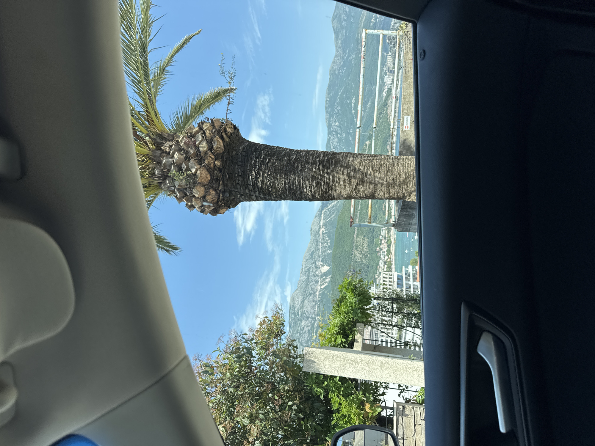 The view from inside a car shows a palm tree and a landscape beyond, suggestive of a coastal region. Through the car window, a portion of the palm tree’s trunk and fronds are visible, with a backdrop of mountains, a blue sky with scattered clouds, and a section of what appears to be a city or town with buildings along the coast. A weathered fence or barrier is partially visible. The foreground features elements of the car interior, including the side panel and a part of the side mirror. Given the mountainous terrain and coastal buildings, this scene may be near Budva, Montenegro.