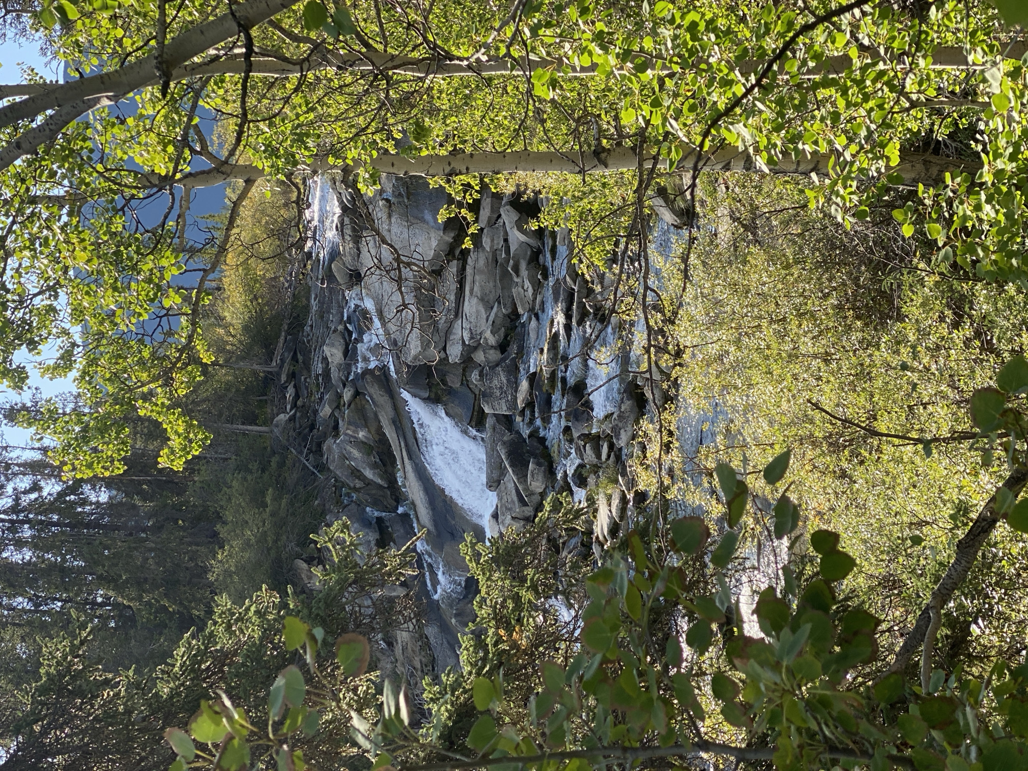This is an eye-level, vertical, medium shot of a rocky mountain stream cascading down over a series of large, grey stones. The water is white and frothy in places where it falls, and appears calmer in the pools formed by the rocks. The stream is framed by lush green foliage on either side, with several large trees with white bark and bright green leaves in the foreground on the right. In the background, there are dark green coniferous trees that rise to meet a bright blue sky. The scene appears to be a natural landscape, likely in a wilderness area. The location is in the Yukon, Unorganized, Canada.