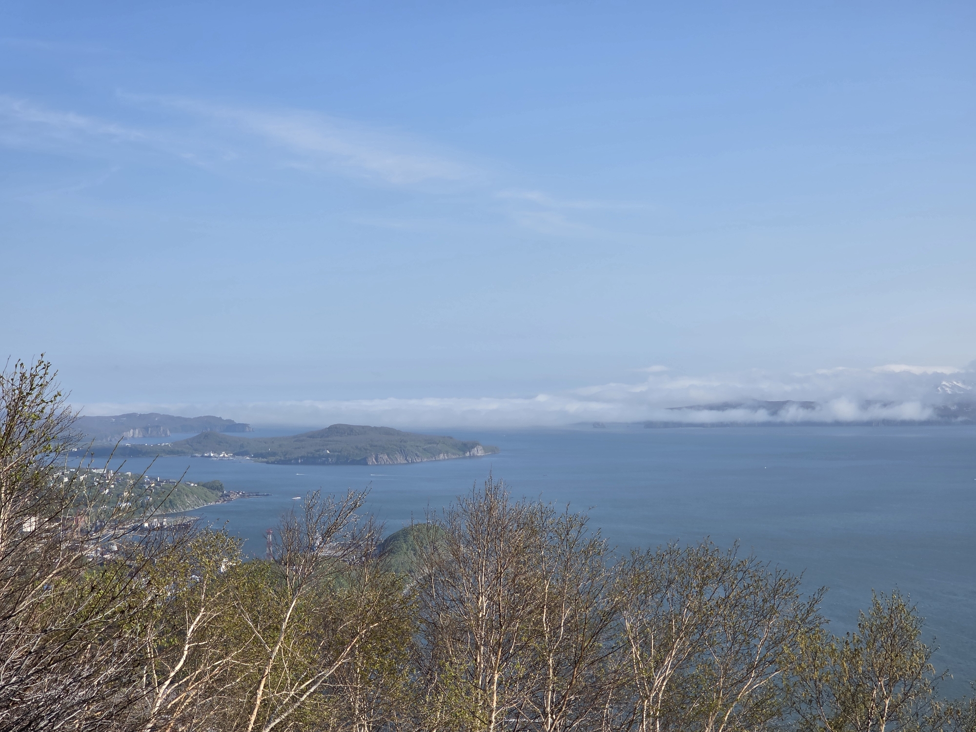 The image captures a panoramic view from a high vantage point overlooking a coastal city and its surrounding seascape. In the foreground, bare-branched deciduous trees with emerging green leaves dominate the lower part of the frame, suggesting a spring or early summer setting. Beyond the trees, the mid-ground reveals a city nestled along a curved coastline, characterized by buildings with red roofs and other structures, some of which appear to be industrial, including cranes and docked vessels in a harbor area.
The sea occupies the majority of the image, stretching towards the horizon. Islands and peninsulas of varying sizes, covered in green vegetation, dot the water and the distant coastline. Some of these landforms have steep cliffs. Further out, a layer of low-lying clouds hugs the water's surface and the distant land, partially obscuring some of the furthest islands and creating a hazy effect. The sky is a clear, pale blue with wispy white clouds scattered across its expanse. The overall impression is one of a temperate coastal landscape with signs of human habitation and natural topography. The location is described as "Krutoberegovoy, Russia."