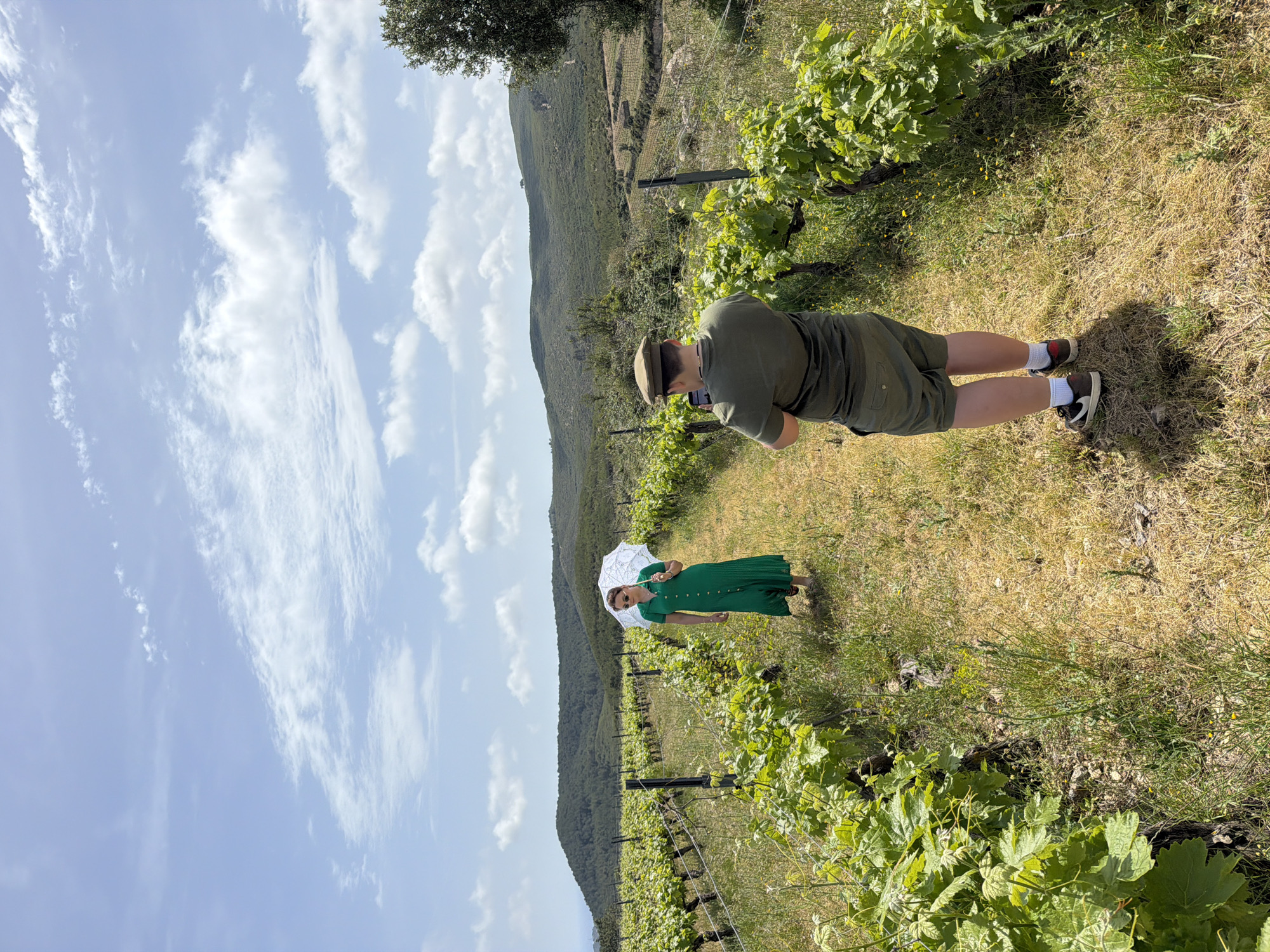 A medium-shot captures a scene in Tarragona, Spain, featuring two individuals amidst a vineyard landscape. The background reveals a mountain terrain under a sky partially covered with clouds.
A man stands on the right, dressed in a green shirt and shorts, and a baseball cap. He appears to be holding a phone, possibly capturing a photo or video. His posture indicates that he is focused on the device in his hands.
To the left and slightly further away, a woman in a green dress is seen holding a white parasol. Her pose suggests a relaxed or posed stance, potentially as the subject of the man's photography.
The location is a vineyard, with rows of grapevines extending from the bottom to the upper half of the frame. The terrain is grassy with patches of dry grass between the rows of grapevines. The setting sun casts shadows from the grapevines, adding depth to the scene.