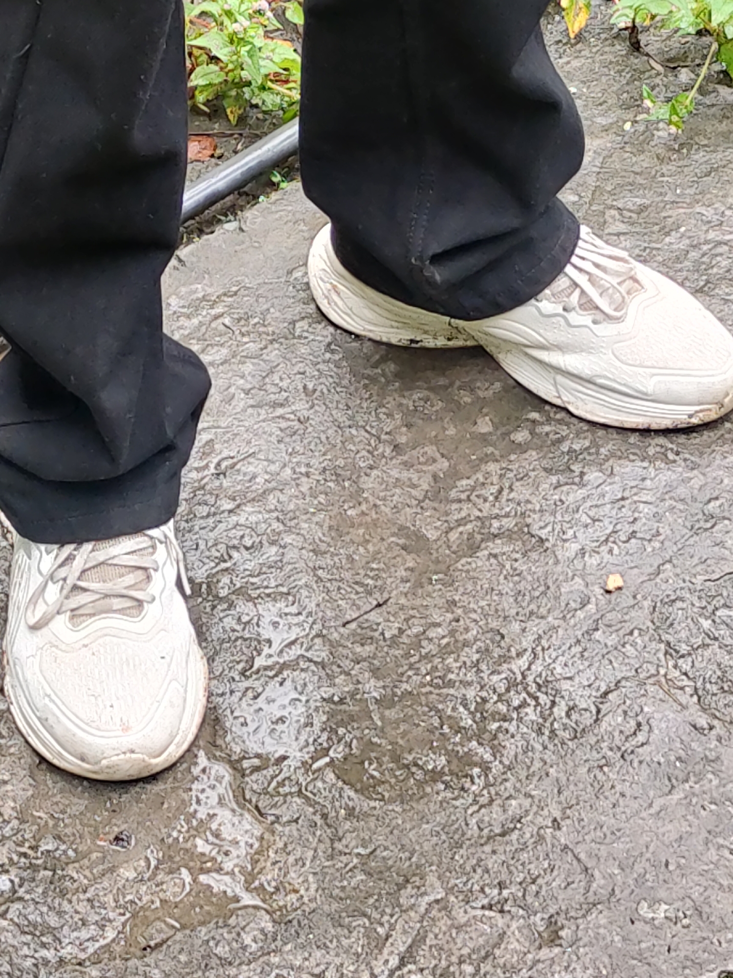 The image shows a close-up view of a person's feet wearing black pants and white sneakers. The sneakers appear to be slightly dirty. The person is standing on a wet, textured surface, possibly a paved walkway or ground. In the background, there are some green plants and a metal pipe. The scene appears to be outdoors, and given the wet surface, it may have recently rained. The location is identified as Siyal, India.