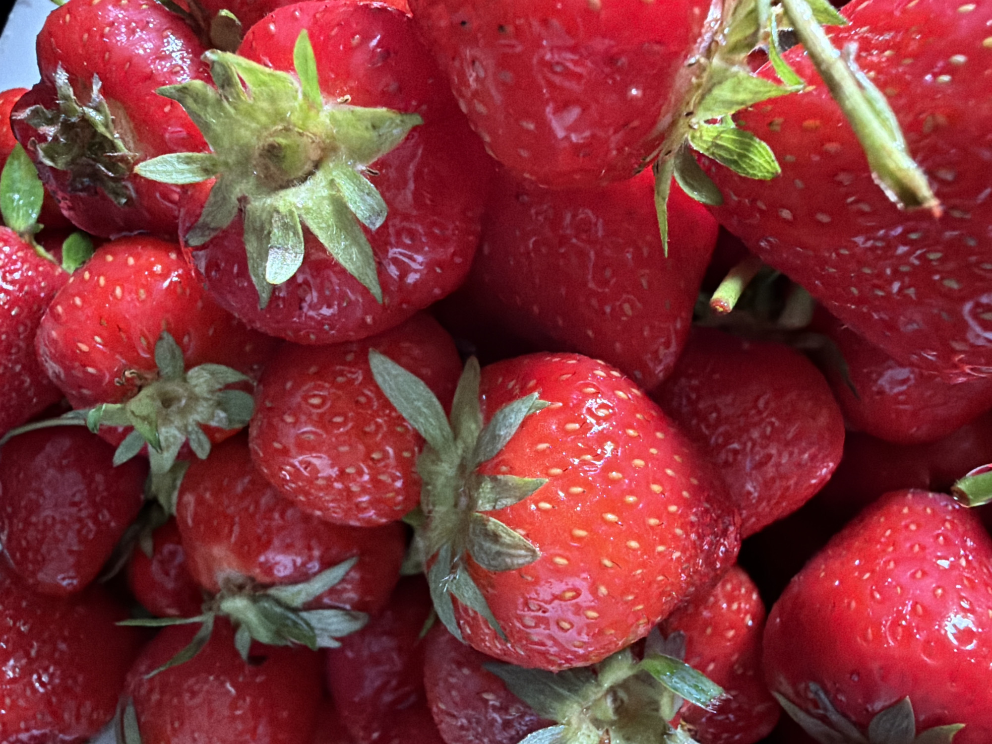 A close-up, overhead shot features a pile of ripe strawberries. The strawberries are a vibrant red, with visible seeds and green stems. The lighting is bright, highlighting the glossy texture of the fruit. The image is taken at ground level, focusing on the abundance of strawberries. The location in Krakow, Poland, is not discernible from the image itself.