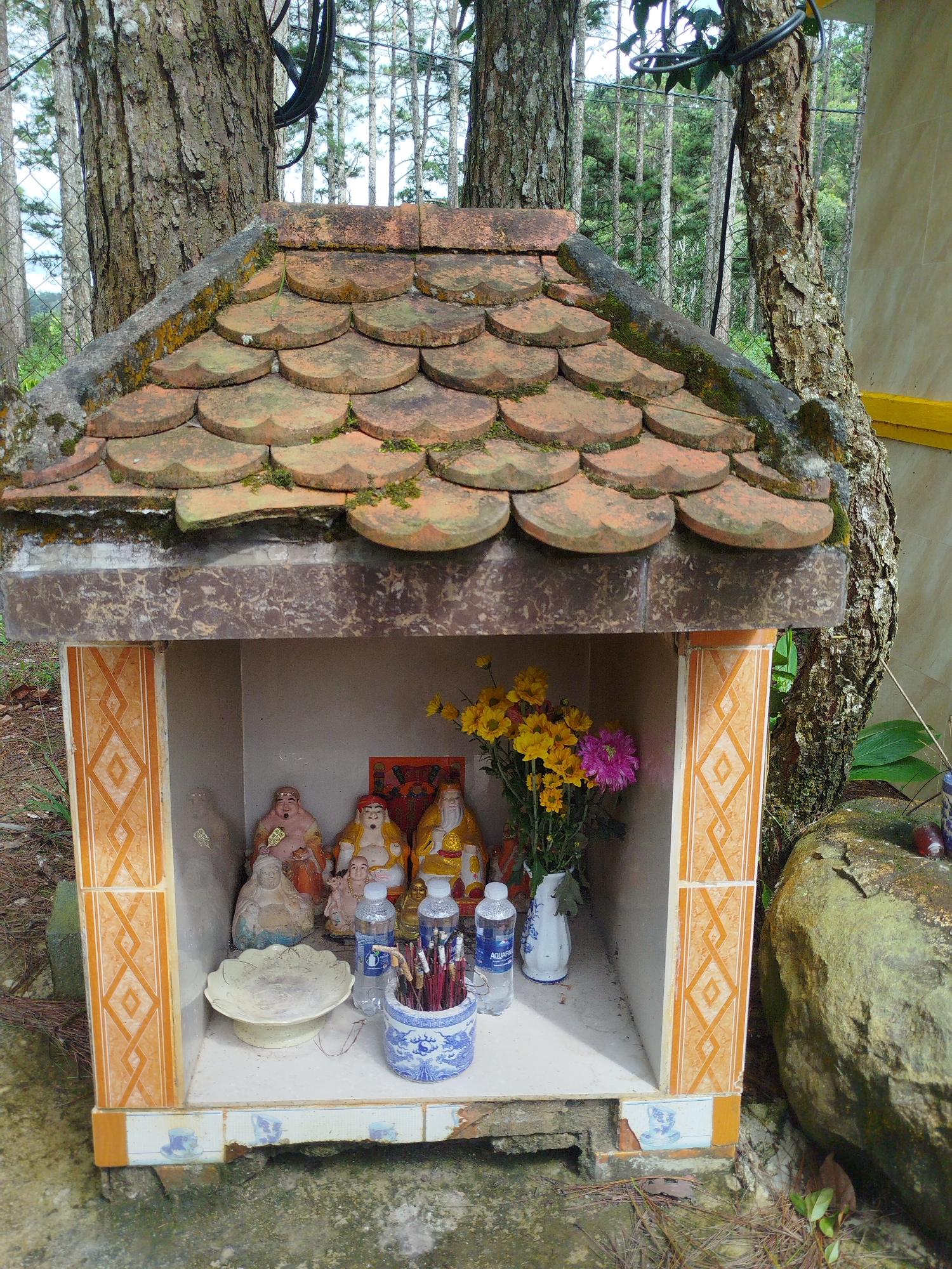 In Trạm Hành 1, Vietnam, a small, weathered shrine sits nestled amongst trees. The shrine is constructed from concrete and is topped with curved, terracotta roof tiles, some of which are covered in moss. The structure has an open front, revealing its interior.
Inside the shrine, several religious figurines are arranged. Two prominent figures, appearing to be deities or esteemed individuals, are seated. One wears a pink robe and has a plump, jovial appearance, while the other wears a gold robe and has a serene expression. Between them, a smaller figurine, possibly a child, is visible. To the left, another seated figure in a light-colored robe is present, and further to the left, a faint, shadowy figure can be discerned.
On the shrine's interior shelf, various items are placed. A light-colored, scalloped dish sits in the center. To its right, two plastic water bottles are visible, one with a blue label. In front of the bottles, a blue and white patterned ceramic pot holds a collection of thin, dark incense sticks. Behind the figures and to the right, a vibrant bouquet of yellow and purple flowers in a white vase adds a splash of color. A red and gold framed image is also affixed to the back wall.
The exterior of the shrine features decorative orange and white patterned tiles on its sides. The base of the shrine appears to be constructed from concrete with some signs of wear and tear. A large, moss-covered boulder rests to the right of the shrine. The surrounding environment is verdant, with trees and foliage visible in the background, suggesting a natural or semi-natural setting. The ground is a mix of dirt, fallen leaves, and pine needles.