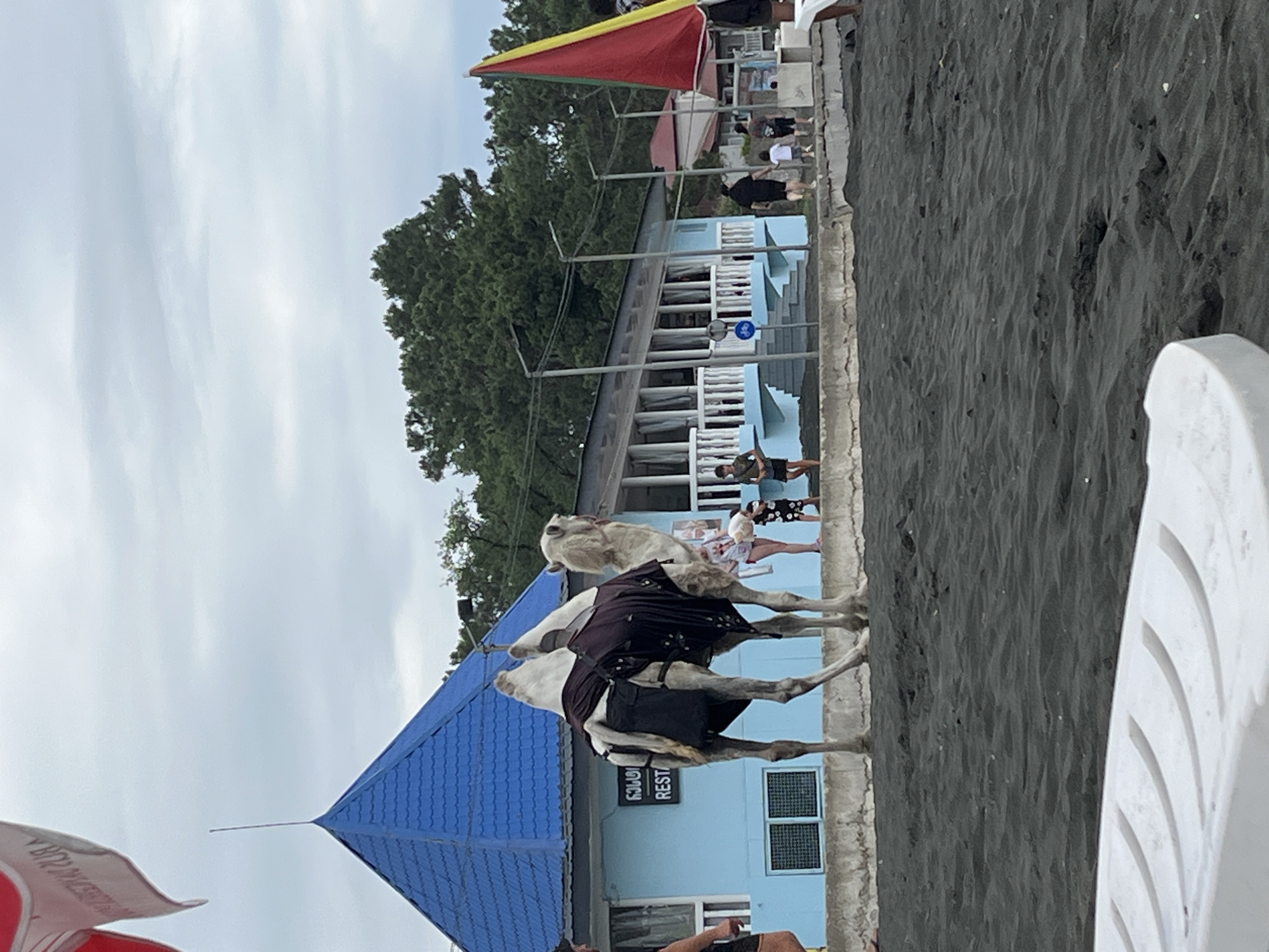 In Ureki, Georgia, a two-humped camel stands on dark sand near a light blue building with a blue, pyramidal roof. The camel wears a dark cloth covering. Behind the camel, several people are visible, including children walking and standing near the building. The building has white railings and a sign with Georgian text and the word "RESTAURANT". Trees are visible behind the building. In the foreground, a white lounge chair rests on the sand. A flag, partly red and partly yellow, is visible on the right side of the image. The sky is overcast.