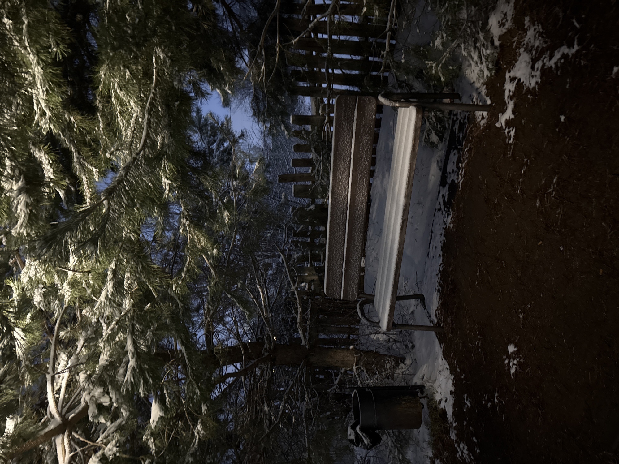 The image depicts a snow-covered park scene. A wooden bench sits beside a path or clearing. The surrounding vegetation, including pine trees and other shrubbery, is also covered in snow. A wooden fence is visible in the background. The presence of snow and the type of vegetation suggest a location in a colder climate. While the image does not allow for precise geolocation, the request indicated that the scene is in the city of Chaikovsky, Russia. No people are visible in the image. The lighting suggests it might be dusk or dawn, or perhaps overcast conditions. A trash can is present beside the bench.