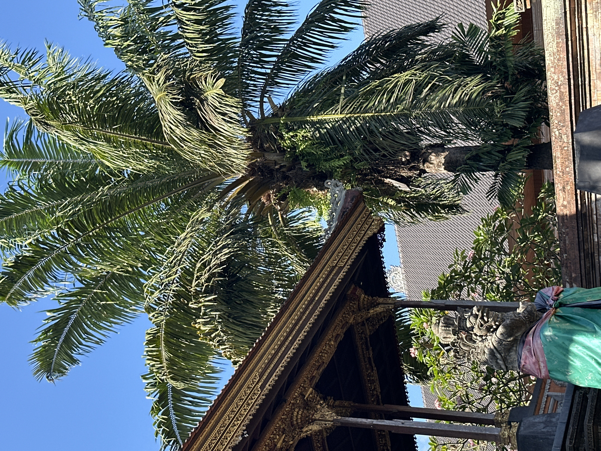 This image depicts a close-up view of a palm tree with lush green fronds set against a clear blue sky. To the left, a portion of a building with intricate golden carvings and a dark, tiled roof is visible. In the foreground, a stone statue, possibly a guardian figure, is adorned with colorful fabric. The overall scene suggests a tropical, possibly temple or cultural site setting, consistent with locations in the Ubud District of Indonesia, known for its rich cultural heritage and natural beauty.