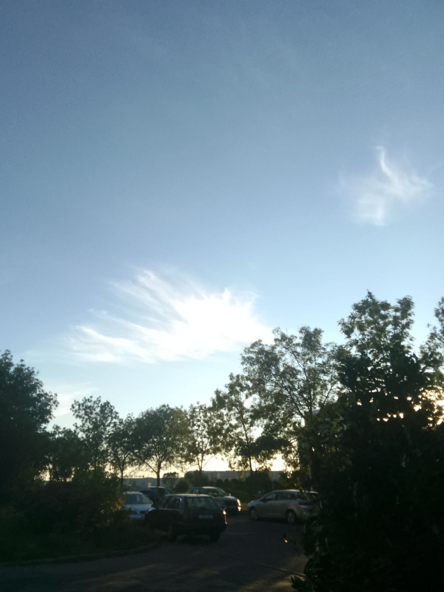 This is a vertical, outdoor, eye-level shot of a parking lot in front of a line of trees, with a bright sky overhead. The sun is setting, casting a warm glow on the scene. The sky is a pale blue with wispy white clouds. The trees are green and full, with the sun partially obscured by their leaves on the right side of the image. In the foreground, there are several cars parked. On the left, a dark SUV is parked. In the middle, a silver sedan is parked, and to its right, a darker sedan is visible. In the background, beyond the trees, there are some buildings. The image appears to have been taken in Minsk, Belarus, based on its characteristics and typical urban landscape. There are no people visible in the image.
