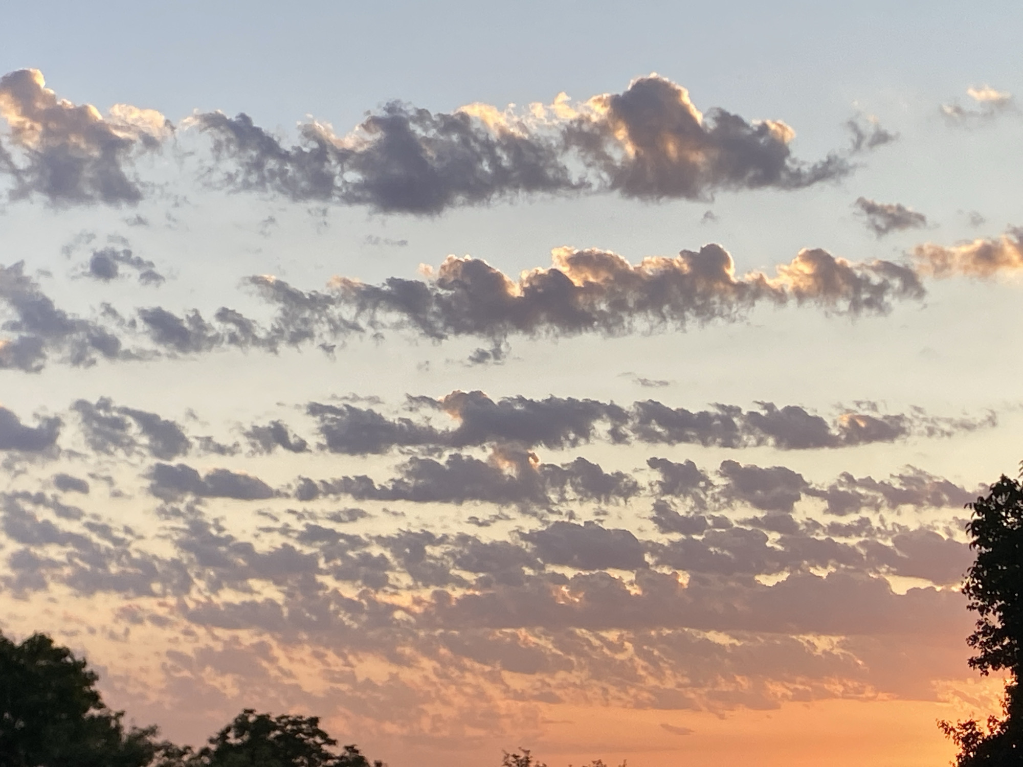 The image depicts a sky filled with scattered clouds at sunset, casting an orange glow on the lower portion of the frame. The clouds are layered, with some illuminated by the setting sun, creating a textured appearance. The top of the image shows a clear sky transitioning to hues of pale blue. Silhouettes of trees are visible along the bottom edge, suggesting an outdoor setting. The scene appears to be a natural landscape, possibly on the outskirts of a populated area.