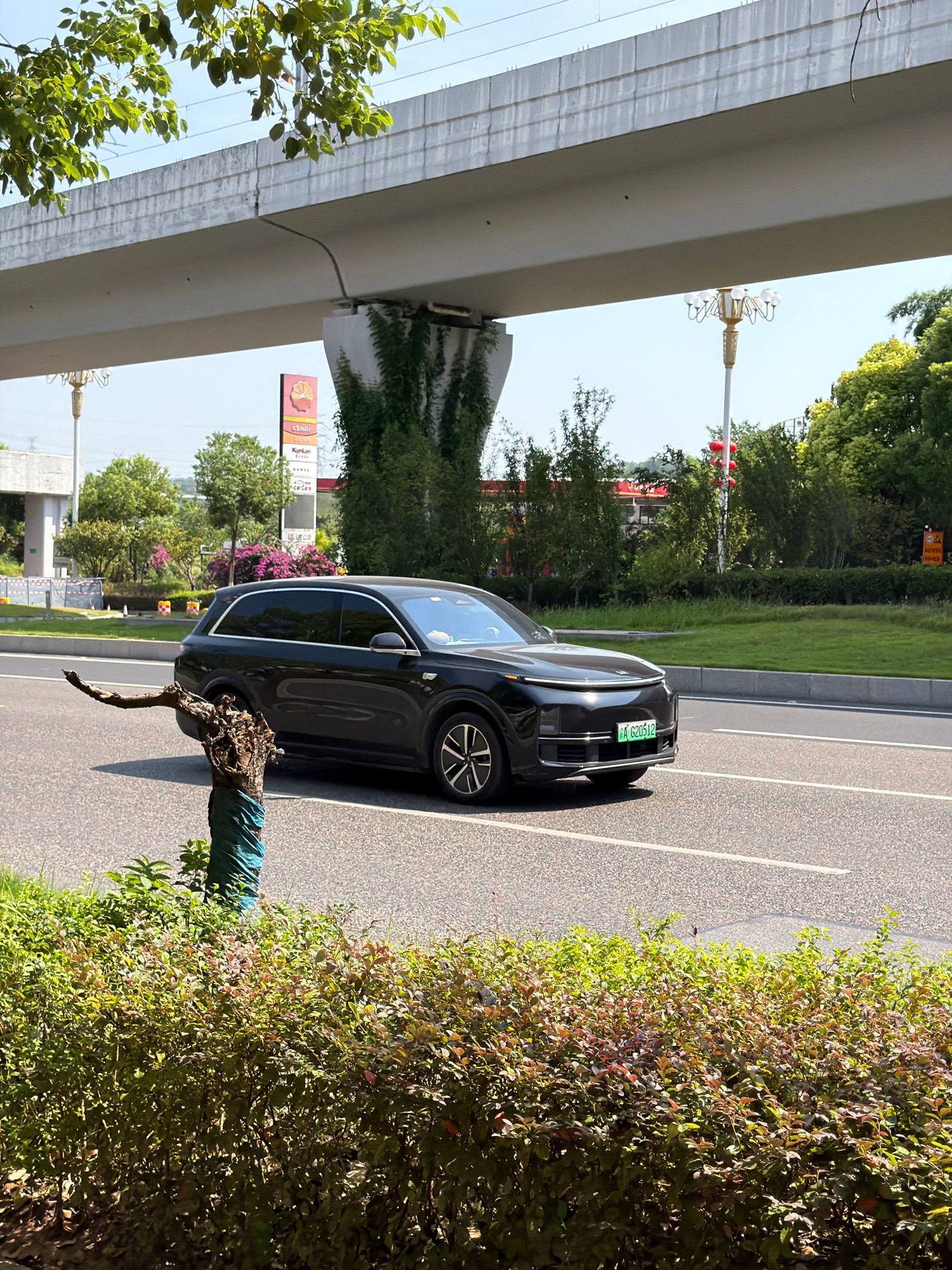 A black electric SUV, identified by the license plate "A G20512," is driving on a paved road in Jiangjin, China, under a concrete overpass. The vehicle is positioned in the right lane of a multi-lane road, with a median strip visible. To the left of the road, a tree stump wrapped in green fabric stands in front of a dense green hedge. The background features lush trees, a lamppost, and a billboard advertising "USmile Club," indicating a commercial area. The sky is clear and blue.