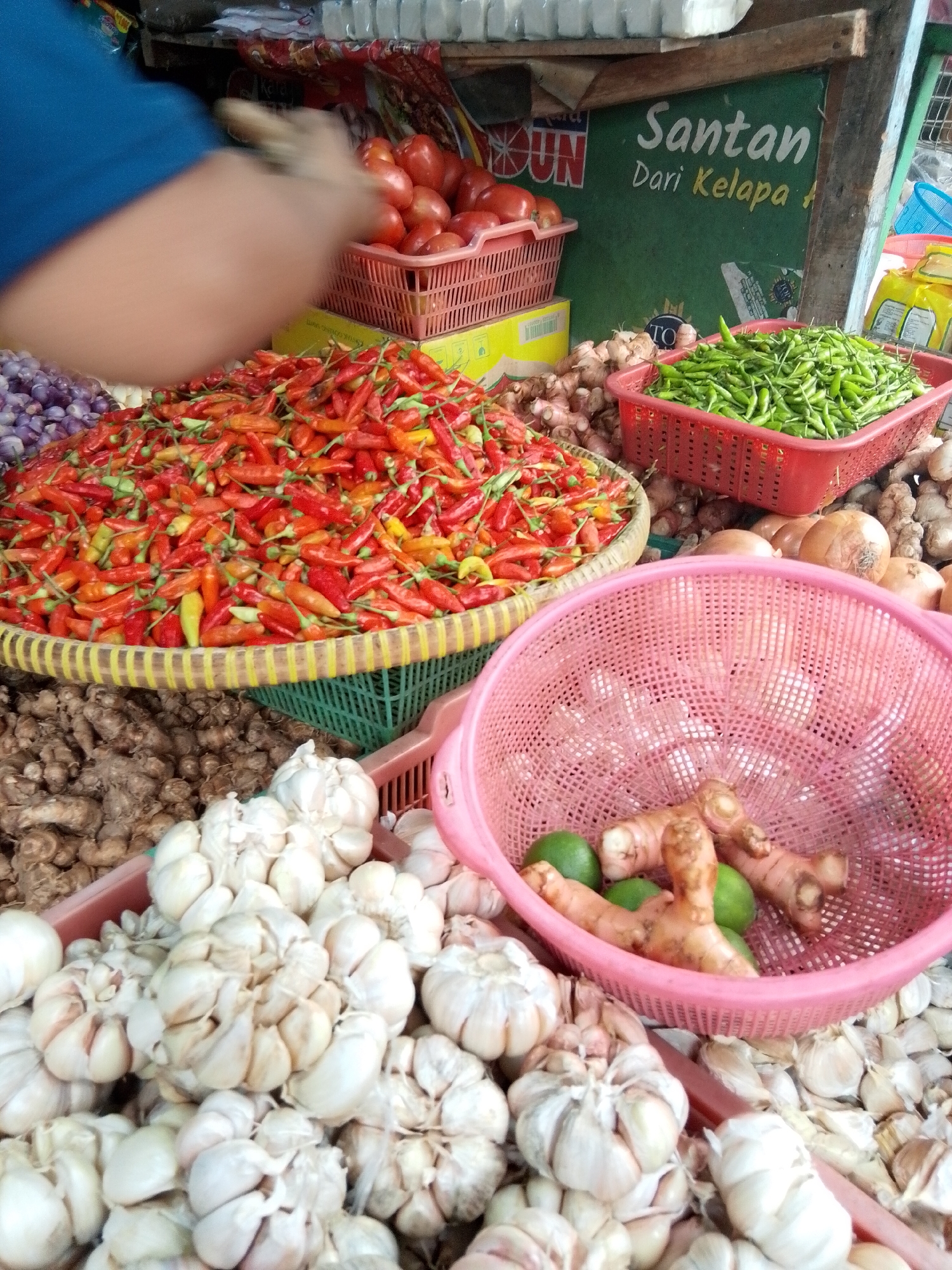 In Bencongan, Indonesia, a market stall displays a variety of fresh produce. In the foreground, an abundance of white garlic bulbs are piled high, with some partially obscured by a pink plastic basket containing galangal roots and two green limes. To the left of the garlic, a large woven basket overflows with bright red chili peppers, interspersed with some yellow and green varieties. Behind the chilies, a basket of red tomatoes is visible. To the right of the chilies, a red plastic basket holds a generous amount of small green chilies. In the background, an assortment of onions and ginger roots are visible. A green sign with white and yellow text, reading "Santan Dari Kelapa" (Coconut Milk from Coconut), is mounted on a wooden structure above the produce. A person's arm, clad in a blue sleeve, is partially visible on the left side of the image, with their hand reaching towards the tomatoes. The scene appears to be an outdoor market, with a rustic wooden structure and what looks like stacked goods in the background.