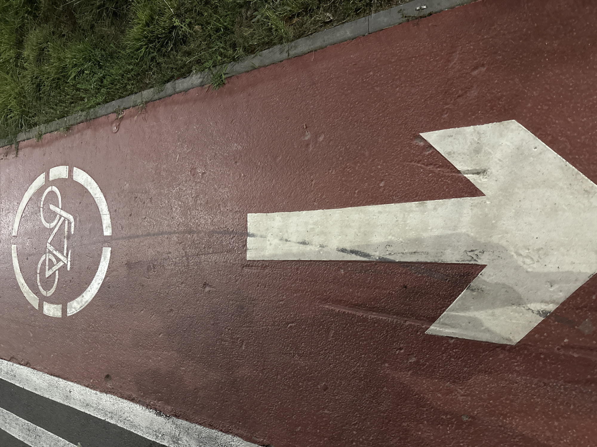 The image shows a close-up, overhead view of a wet red bicycle lane with a white bicycle symbol and a large white arrow pointing downwards. The bicycle lane is bordered on the left by a section of asphalt with white stripes, and on the right by a concrete curb and a patch of green grass. The scene appears to be a path or road in Almaty, Kazakhstan. There are no people or actions depicted in the image. The lighting suggests it may be evening or a cloudy day, as indicated by the reflections on the wet surface.