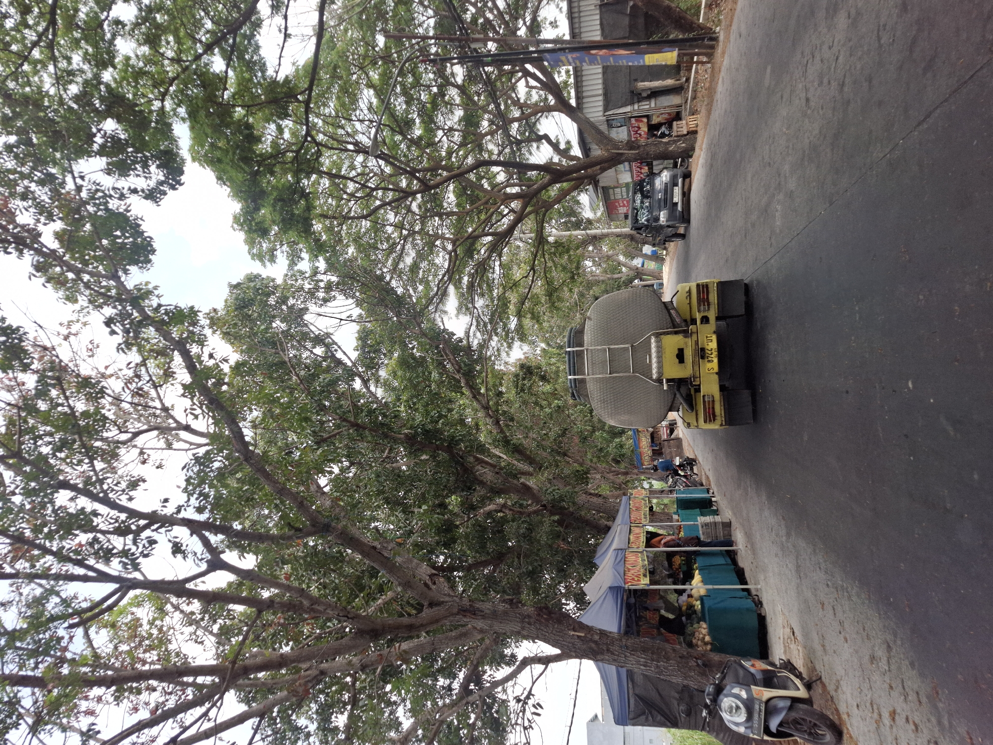 The image depicts a street scene in Sidoharjo, Indonesia, bordered by large trees and a roadside market. A yellow tanker truck is the primary subject, driving down the center of the asphalt road. To the left of the road, a blue tented market stall displays fruits and vegetables, with a motorcycle parked in front. A person is visible within the market stall. Further down the road, a dark-colored pickup truck is parked. The environment is characterized by dense foliage from the trees overhead, creating a canopy effect, and a cloudy sky. The road appears to be a two-lane street with a marked center line. Signs are visible on the market stall and on buildings lining the right side of the road.