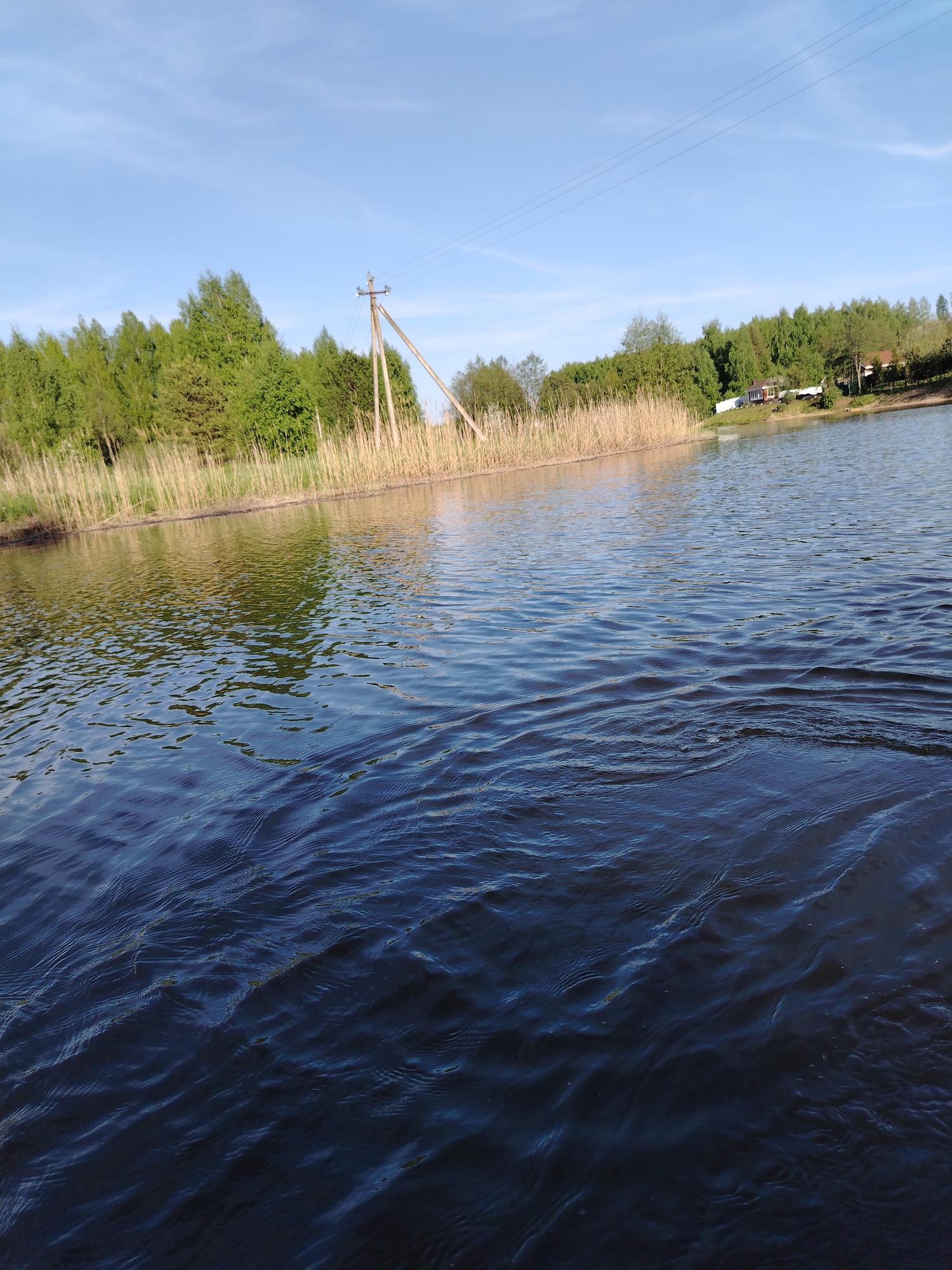 The image shows a view of a body of water, likely a lake or a wide river, with rippling, dark blue water filling the foreground. The water's surface reflects light unevenly, creating patterns of light and shadow. In the middle ground, the opposite bank is lined with tall, brown reeds or cattails along the shoreline. Behind the reeds, there is a line of green trees indicating a forested area. A wooden utility pole with wires is visible among the reeds and trees. In the distance, a house with a white fence can be seen, partially obscured by the trees. The sky above is light blue with a few faint clouds. The location is Stroitel', Russia, based on other details.
