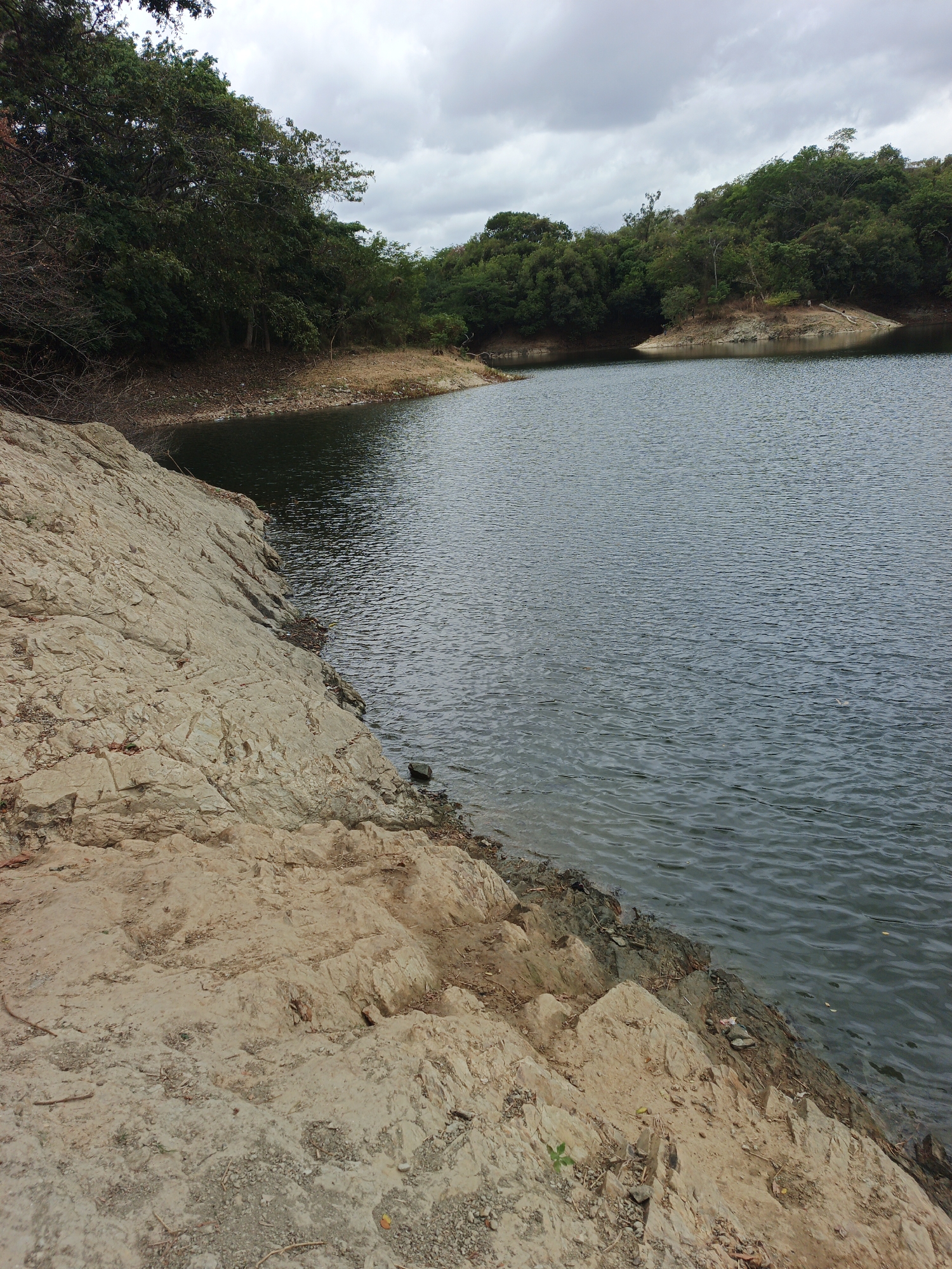 This is an outdoor shot of a lake located in Tinaquillo, Venezuela. The foreground is dominated by a rocky, pale tan shoreline that slopes down towards the water's edge. The water is a dark, shimmering grey-blue, rippled by a light breeze. Across the lake, the opposite shoreline is heavily wooded with green trees and vegetation. The sky above is overcast with grey clouds. There are no visible people or animals.