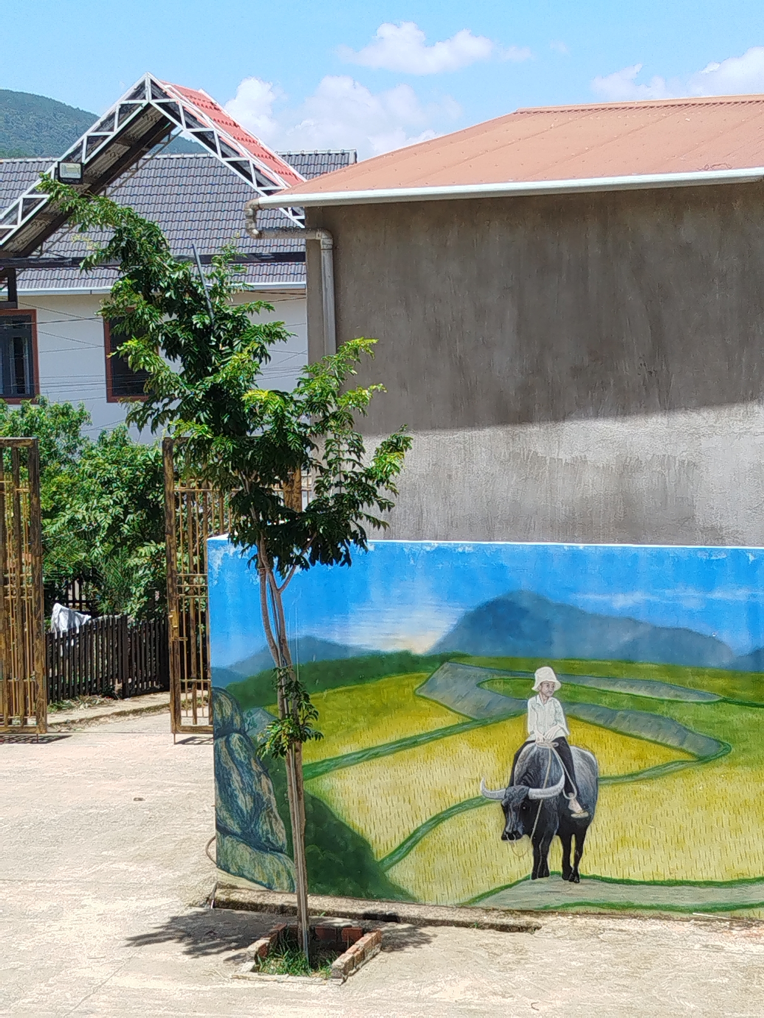In K'Rèn, Vietnam, a mural on a concrete wall depicts a child wearing a white hat and shirt, riding a black water buffalo through a rice paddy. The background of the mural features blue mountains under a bright sky with scattered clouds. To the left of the mural, a young tree grows in a small brick enclosure, casting a shadow on the concrete ground. Beyond the tree, a rusted metal gate stands open, revealing a wooden fence and lush green trees. Behind the fence, two buildings are visible: one with a white facade and dark-framed windows, topped by a grey tiled roof and a prominent, angular metal roof structure with red tiles. The other building has a rough, grey concrete wall and an orange tiled roof.