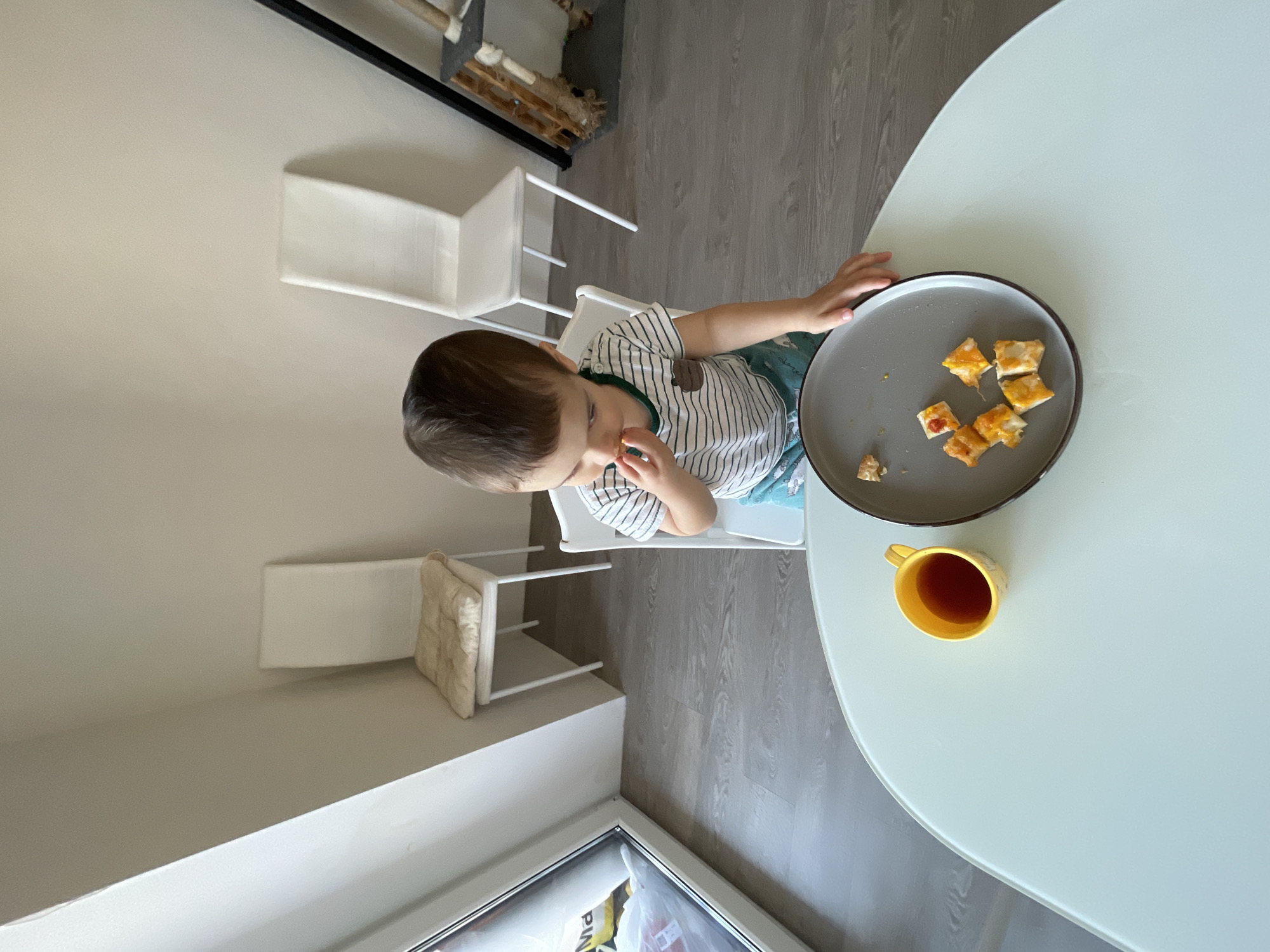 A young child, appearing to be a toddler with short brown hair, is seated in a white high chair at a light green, rounded rectangular table in an indoor residential environment. The child, dressed in a white and green striped shirt and patterned shorts, is actively eating, holding a small, square piece of food to their mouth with their right hand. On the table, a grey plate contains several small, square-cut pieces of food, possibly toasted bread with melted cheese or a similar item, some showing red sauce. A yellow mug filled with a dark liquid, possibly tea, is also on the table. In the background, against a plain light beige wall, two white-framed chairs are positioned; the left chair has a beige cushion. A white-framed window on the left shows a blurry exterior view containing light-colored objects or bags. To the right, a dark-framed structure, possibly a cat tree with textured posts, is partially visible. The floor is covered with light grey laminate flooring. No specific details within the image identify the location as Izhevsk, Russia.