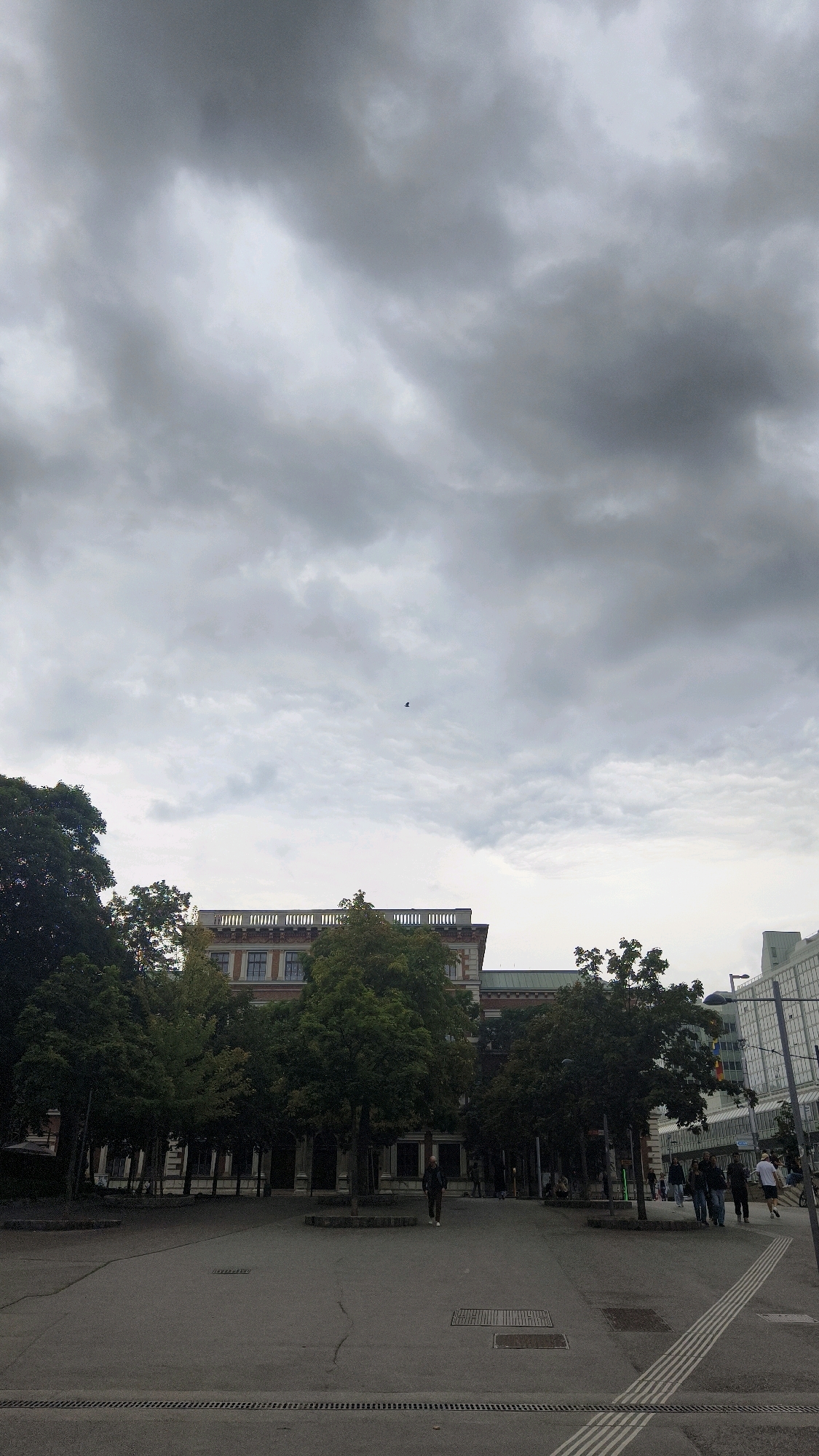 The image depicts a view of the area in front of the historic Burgtheater in Vienna, Austria, under a heavy, overcast sky. The foreground consists of a paved public square with drainage grates and tactile paving for the visually impaired. A single person is walking across the square away from the camera. In the middle ground, a line of mature trees partially obscures a grand, classical building, which is the Burgtheater. The building features ornate architectural details, including a colonnade and decorative elements along the roofline. To the right of the Burgtheater, modern glass-fronted buildings rise, indicating a contrast between historical and contemporary architecture. A small flock of birds is visible in the sky. A group of people are walking towards the right side of the frame, with some appearing to be queuing near the entrance of one of the modern buildings. The overall atmosphere is subdued due to the cloudy weather.