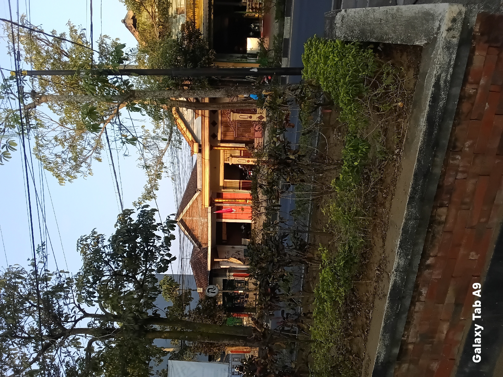 The image captures a street scene in Kelutan, Indonesia. In the foreground, a low brick wall borders a raised garden bed filled with green shrubs and dry branches. Beyond the garden, a paved road runs horizontally across the frame. Along the roadside, a line of trees with dense foliage stands tall, their branches intertwined with overhead power lines. Behind the trees, a row of traditional Indonesian houses with terracotta tile roofs are visible. Some houses have open doorways and windows, revealing glimpses of their interiors. One house features a prominent red flag hanging from its facade. The architecture suggests a residential or commercial area. The lighting indicates it is daytime, possibly late afternoon, with the warm hues of the sun illuminating the buildings and vegetation. The overall impression is one of a quiet, everyday street in an Indonesian town.