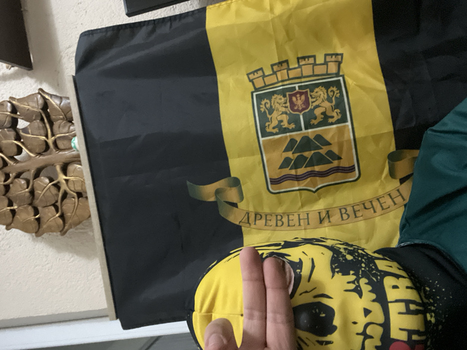 The scene is an interior view, presumed to be within the city of Sedlartsi, Bulgaria. A subject is positioned in the foreground, wearing a yellow balaclava featuring a black skull design with black splatters. The subject's right hand is raised, with the index and middle fingers extended horizontally, obscuring the upper eye portions of the balaclava. The subject is dressed in a dark green garment, visible on the right shoulder and chest. Behind the subject, a large flag is displayed vertically. The flag is horizontally bisected, with a black upper section and a yellow lower section. Centered on the yellow section is a coat of arms, depicting a mural crown atop a shield divided into a green field with three yellow mountains/hills on the left, and a yellow field with two red rampant lions flanking a smaller red shield on the right. A green and yellow ribbon or scroll runs vertically along the left side of the coat of arms, bearing the Cyrillic inscription "ДРЕВЕН И ВЕЧЕН" (Ancient and Eternal). This flag represents the city of Plovdiv, Bulgaria. Above the flag, a bronze-toned, leaf-patterned relief sculpture is affixed to a light-colored wall. A narrow, light-colored ledge is visible between the flag and the sculpture, upon which a small, light-green object rests. A dark, vertical object is partially visible on the far right edge of the frame.