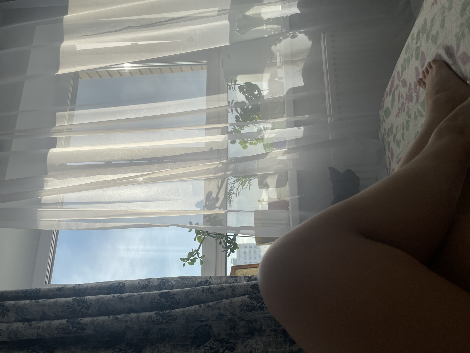 The image depicts an indoor scene in Izhevsk, Russia, viewed from a low, reclined perspective. In the immediate foreground, the lower legs and feet of an individual with fair skin are visible, resting on a light-colored textile surface patterned with green and pink/purple foliage.
Beyond the foreground, a large window dominates the central and upper portions of the frame. To the left, a dark, heavy curtain with a black and white abstract or floral pattern is partially drawn. To the right and across the window, translucent white sheer curtains are fully extended, illuminated by strong natural light entering from outside. Sunlight casts defined shadows of objects onto these sheer curtains and the windowsill.
On the white-framed windowsill, several potted plants are arranged. These include a prominent jade plant (Crassula ovata) to the left, and at least two other green plants, one of which is a smaller palm-like plant, towards the right. A small, light-colored appliance, possibly a humidifier, is visible on the far right of the windowsill. Behind the jade plant, a golden-framed object, possibly a picture frame or mirror, is partially visible. Below the windowsill, a white radiator is present.
Through the window, a bright blue sky with sparse white clouds is visible. In the middle distance, the upper sections of a multi-story light-colored building are discernible.