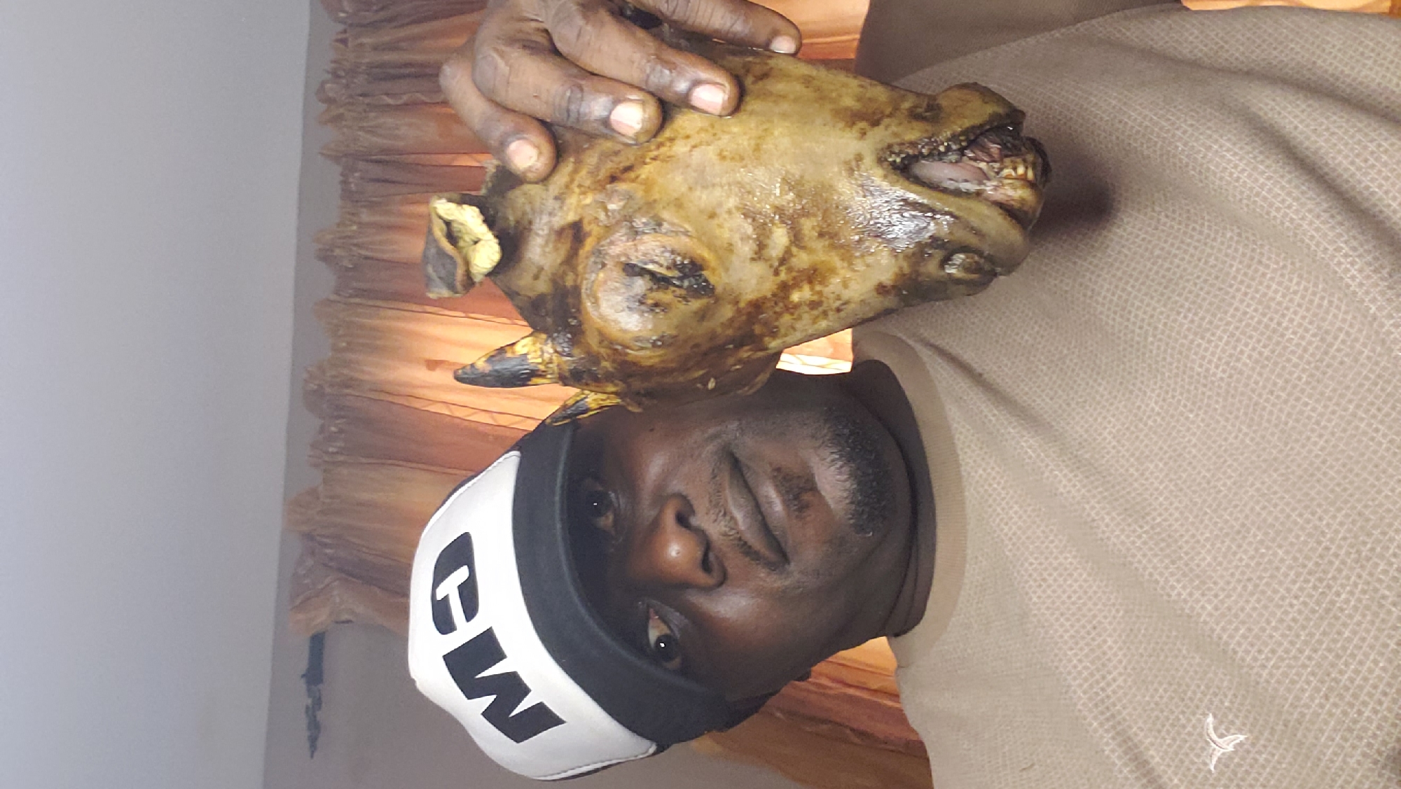 A medium shot captures a man in Sabon Tasha, Nigeria, holding a cooked animal head towards the camera. He wears a tan, textured t-shirt and a white baseball cap with black lettering. The man has dark skin, a goatee, and a neutral expression. The animal head, possibly a goat, is yellowish-brown and appears to be seasoned and cooked. Its mouth is slightly open, revealing teeth and a pink tongue. The background consists of light-colored curtains and a plain wall. The lighting is even, with no harsh shadows.
