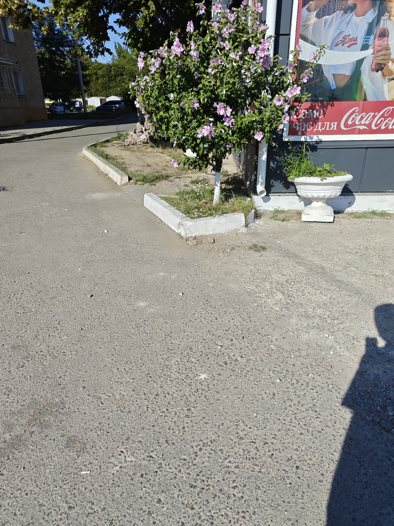 The image shows a view of a street in Odesa, Ukraine, with a flowering hibiscus bush and a Coca-Cola advertisement. In the foreground, there is an asphalt road with scattered debris. To the left, a concrete curb separates the road from a patch of dirt and grass. A light-colored building with a window is visible in the background on the left. Further back, several parked cars and some smaller structures are present. On the right side of the image, a large Coca-Cola advertisement is displayed on the wall of a building. A white outdoor planter filled with greenery sits in front of the advertisement. The shadow of a person is cast on the asphalt in the lower right corner of the image. The sky is blue and clear, indicating daytime.