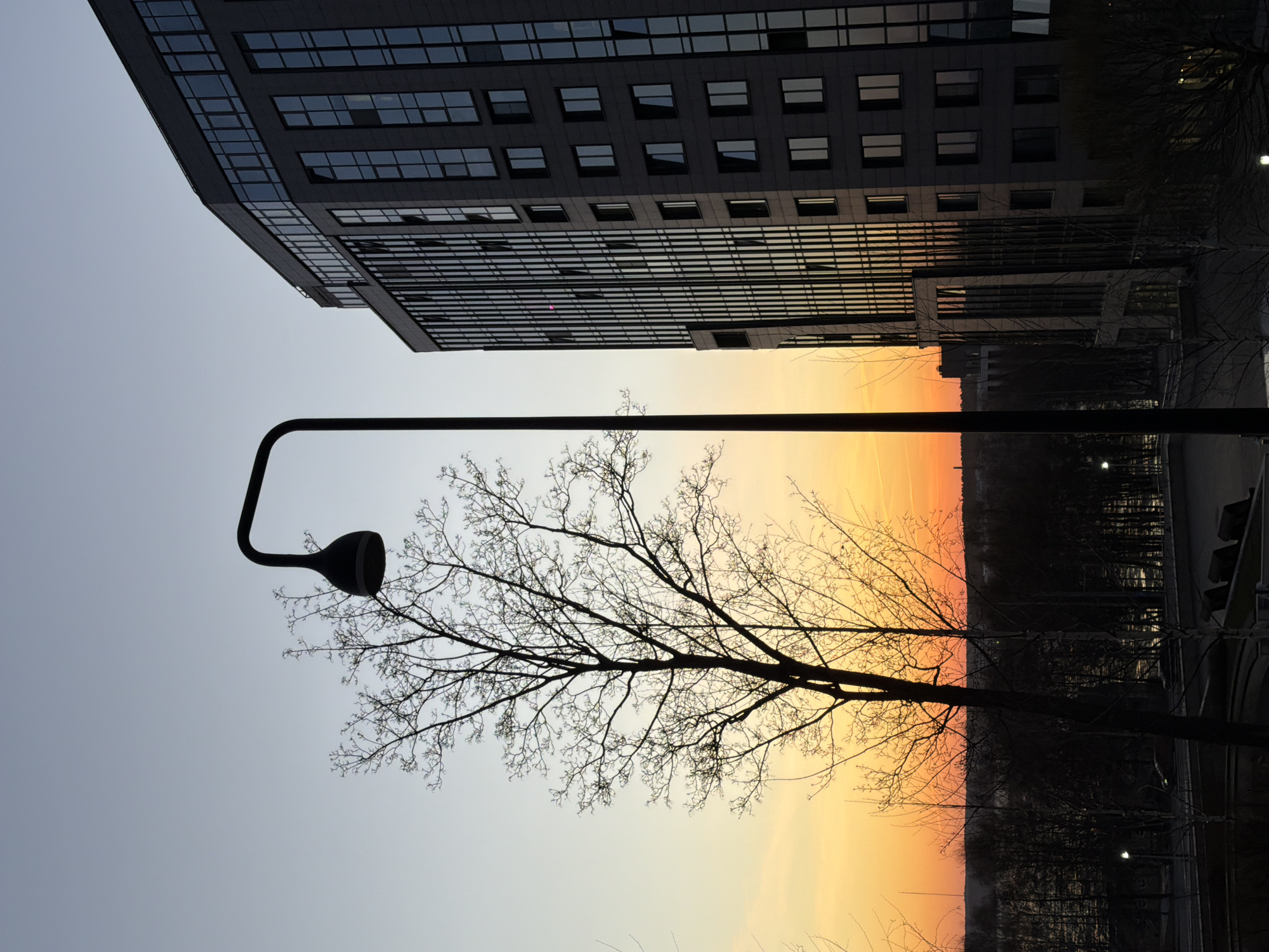 The image depicts an urban scene at sunset. A tall, modern building with reflective windows dominates the upper portion of the frame. Below the building, a street lamp and a bare tree are silhouetted against a gradient sky transitioning from light yellow at the horizon to a pale grey-blue overhead. The setting sun casts an orange glow on the horizon and the foreground landscape, which includes trees and structures. The scene is located in the city of Unknown, Unknown.