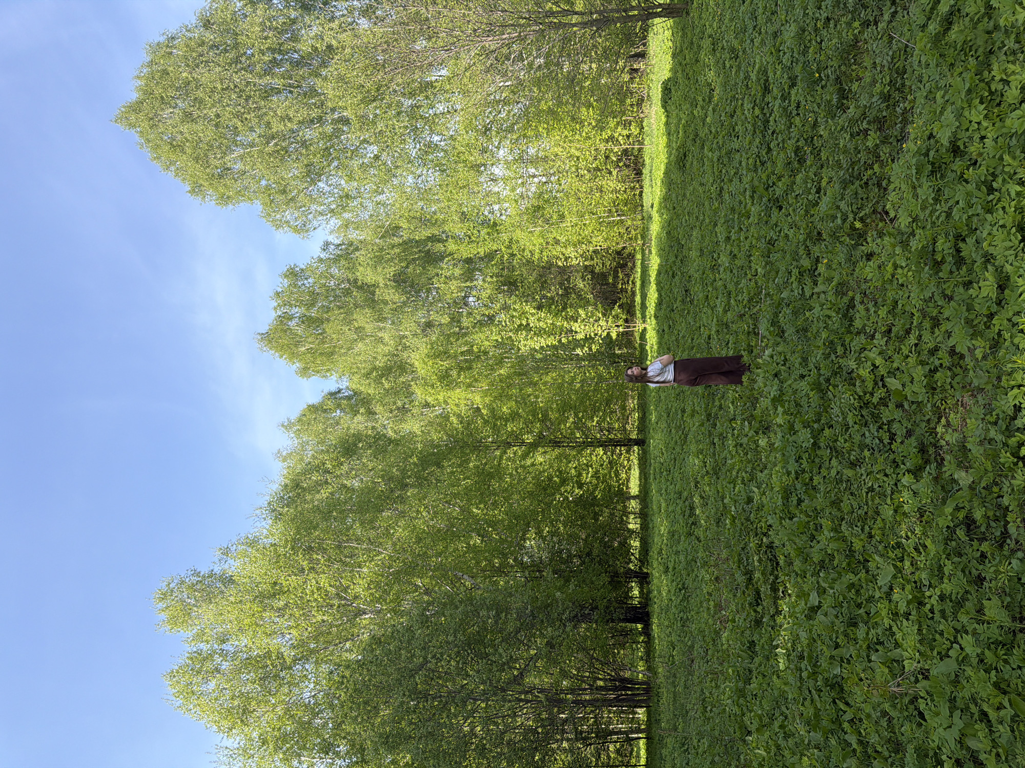 A woman with long brown hair lies on her back in a field of green vegetation, possibly grass and other plants. She is wearing brown pants and a light-colored shirt. The field is bordered by trees with green leaves, possibly a forest or park area. The sky is blue with some clouds visible near the trees. The location could be in Ural'skoe, Russia, as suggested. The environment appears to be a natural setting, with sunlight casting shadows across the field and trees.