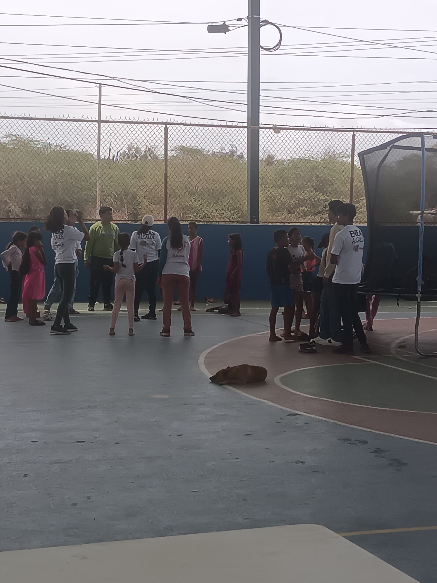An outdoor scene in El Piache, Venezuela, depicts a gathering of approximately 15-20 individuals, predominantly children and young adults, on a multi-colored sports court under a hazy sky. The court surface features large sections of blue, grey, red, green, and yellow, indicative of various play areas.
In the background, a low, dark blue wall separates the court from a chain-link fence. The fence is topped with a single strand of wire, possibly barbed or decorative, and is supported by several vertical metal posts. Behind the fence, sparse, dry-looking vegetation, consisting of shrubs and small trees, extends under what appears to be an overcast or very bright, hazy sky. Numerous dark power lines stretch horizontally across the upper third of the image, with a dark utility pole and a coiled wire loop visible on the left side.
On the court, individuals are engaged in informal interactions. On the left, a person in a white t-shirt with "ALCALDE" printed on it holds an object, possibly a phone or camera, to their face. Nearby, a young girl in a pink dress stands. Another individual in a white t-shirt and white cap, also with "ALCALDE" visible, faces away from the camera. A small child in a white t-shirt and patterned pants stands facing away, with arms slightly raised, suggesting participation in an activity. Other children and adults are interspersed throughout the group, some facing each other, others observing the surroundings. A young man in a white t-shirt with "ENEA ALCALDE" printed on the back stands near the center-right. On the far right, a large black trampoline with blue accents on its support poles is partially visible.
In the lower-left foreground, a brown dog is curled up and sleeping on the blue section of the court. The court surface exhibits various scuff marks and minor imperfections. A light-colored, rectangular surface, possibly the edge of a table, is partially visible in the very bottom right corner of the frame.