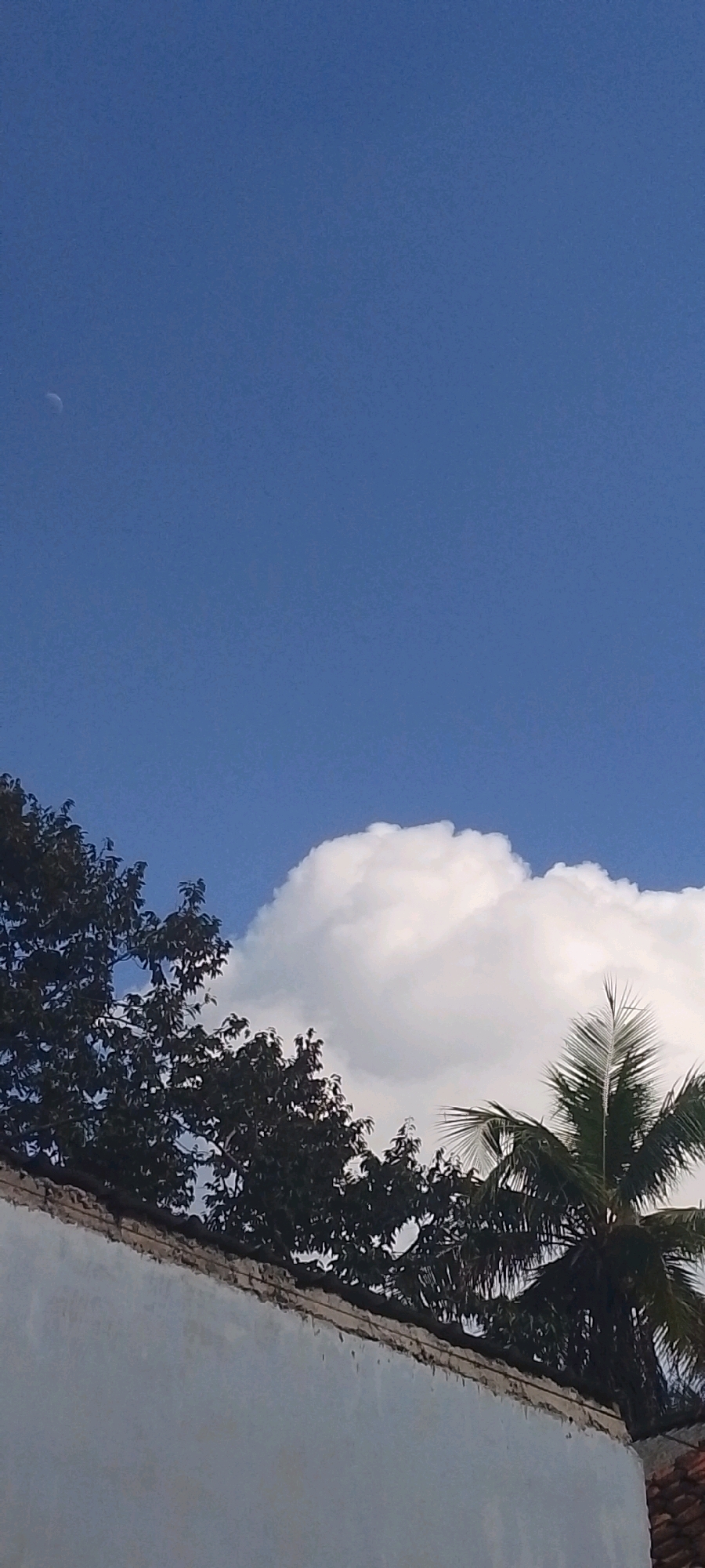 The image shows a bright blue sky with a crescent moon visible in the upper left quadrant. Below the sky, there is a large, fluffy white cloud dominating the center-right portion of the frame. In the lower part of the image, a white wall runs horizontally, with the tops of dark green trees and a palm tree visible above it. The overall scene suggests a daytime setting, likely in Sindangrasa, Indonesia, given the presence of tropical foliage like the palm tree and the bright, clear sky. There are no people or discernible actions in the frame; it is a still outdoor scene.