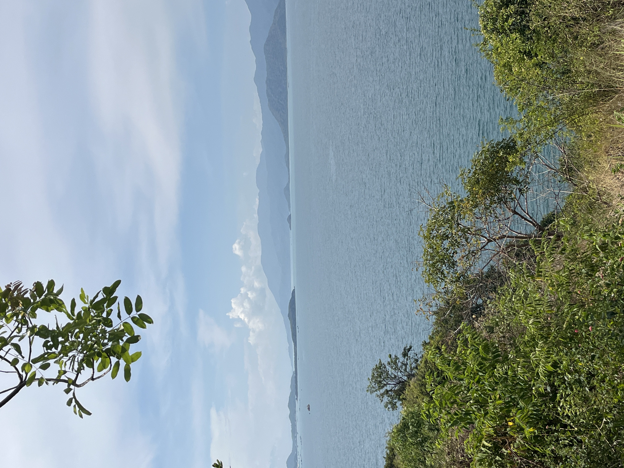 The image presents a view of a body of water, possibly a bay or a large lake, from a vantage point on land covered with green vegetation. In the distance, mountains are visible, suggesting a coastal or mountainous region. The sky is light blue with scattered clouds. A few boats are seen in the water. The foliage in the foreground includes various trees and bushes. Based on the prompt, this scene is potentially near Bac Nha Trang Ward, Vietnam, however, that information does not alter the description of the scene itself. There are no visible people or interactions captured in the scene.